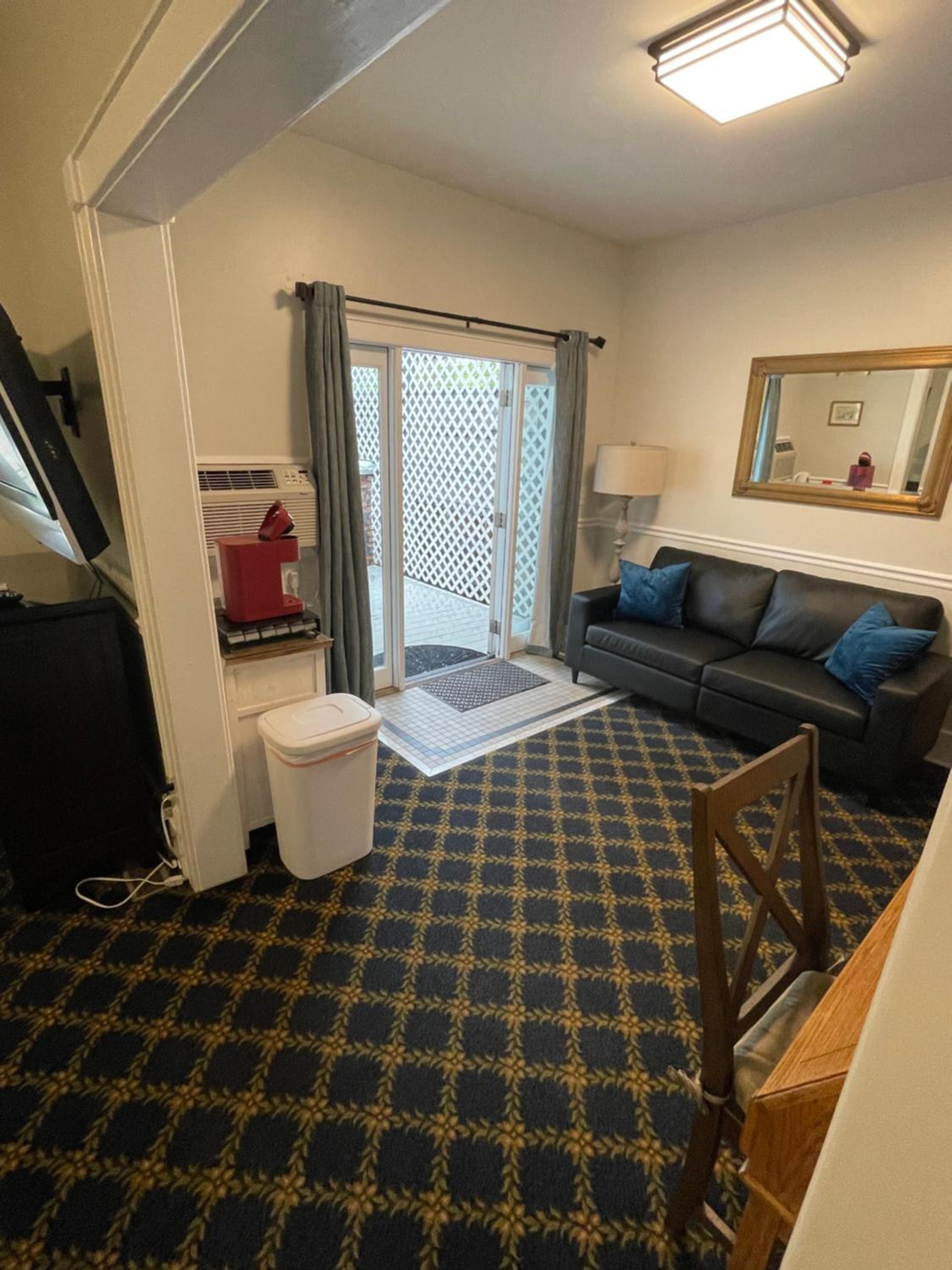 Deluxe King Suite - Photo 8