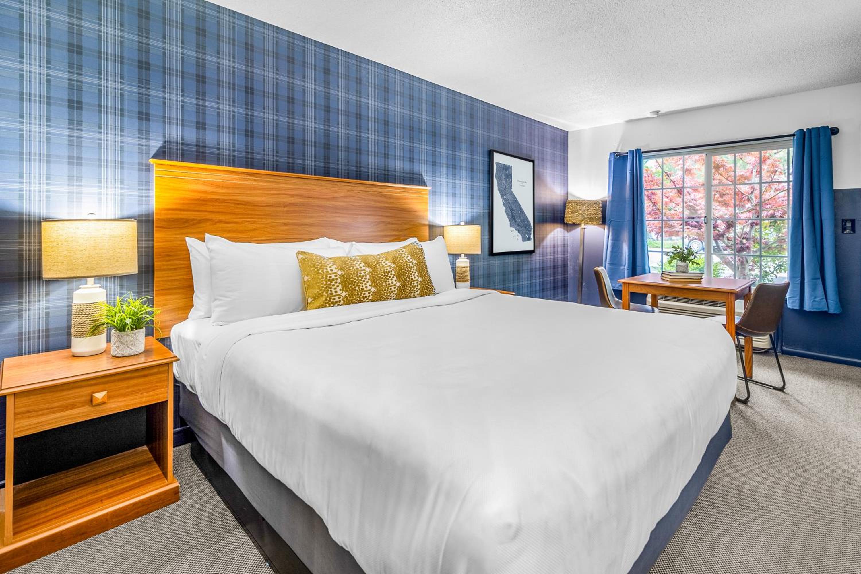 King Room photo 1