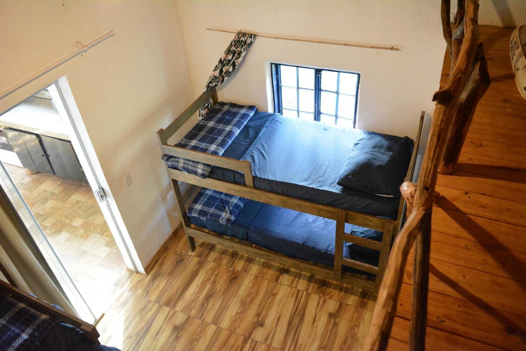 Single Bed In Mixed Dormitory Room photo 1