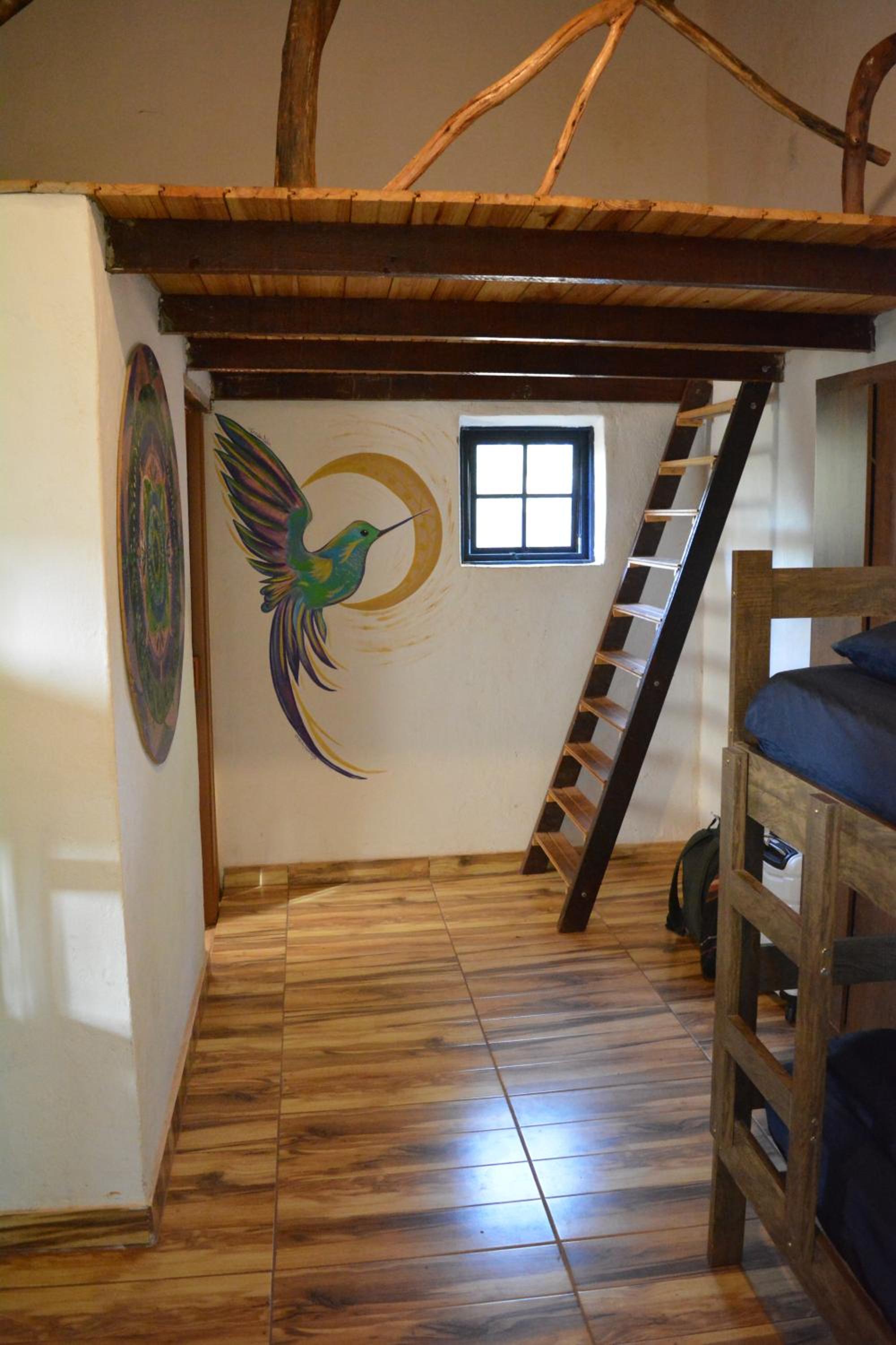 Single Bed In Mixed Dormitory Room photo 2