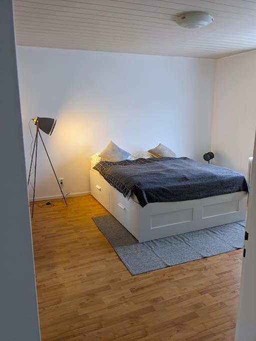One-Bedroom Apartment photo 3