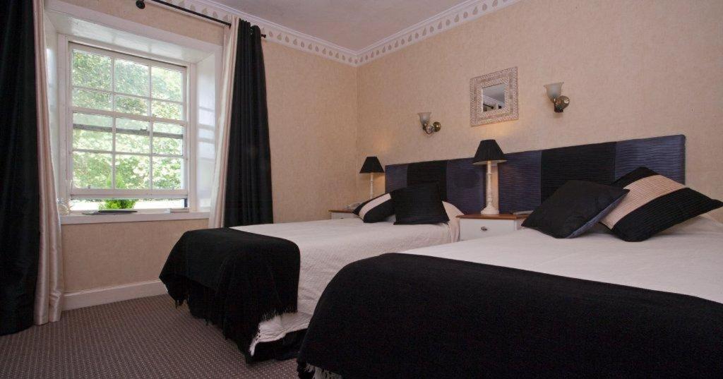 Twin Room photo 3