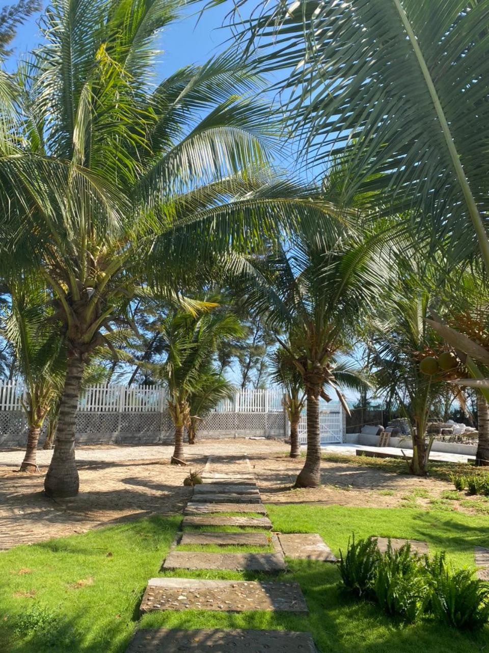 Standard Single Room with Sea View - Photo 3