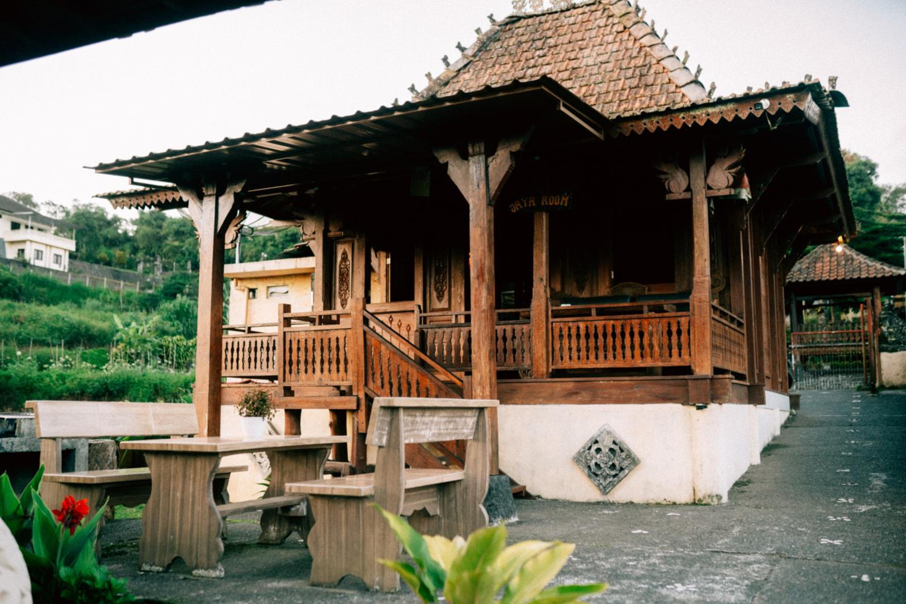 Deluxe Villa photo 2