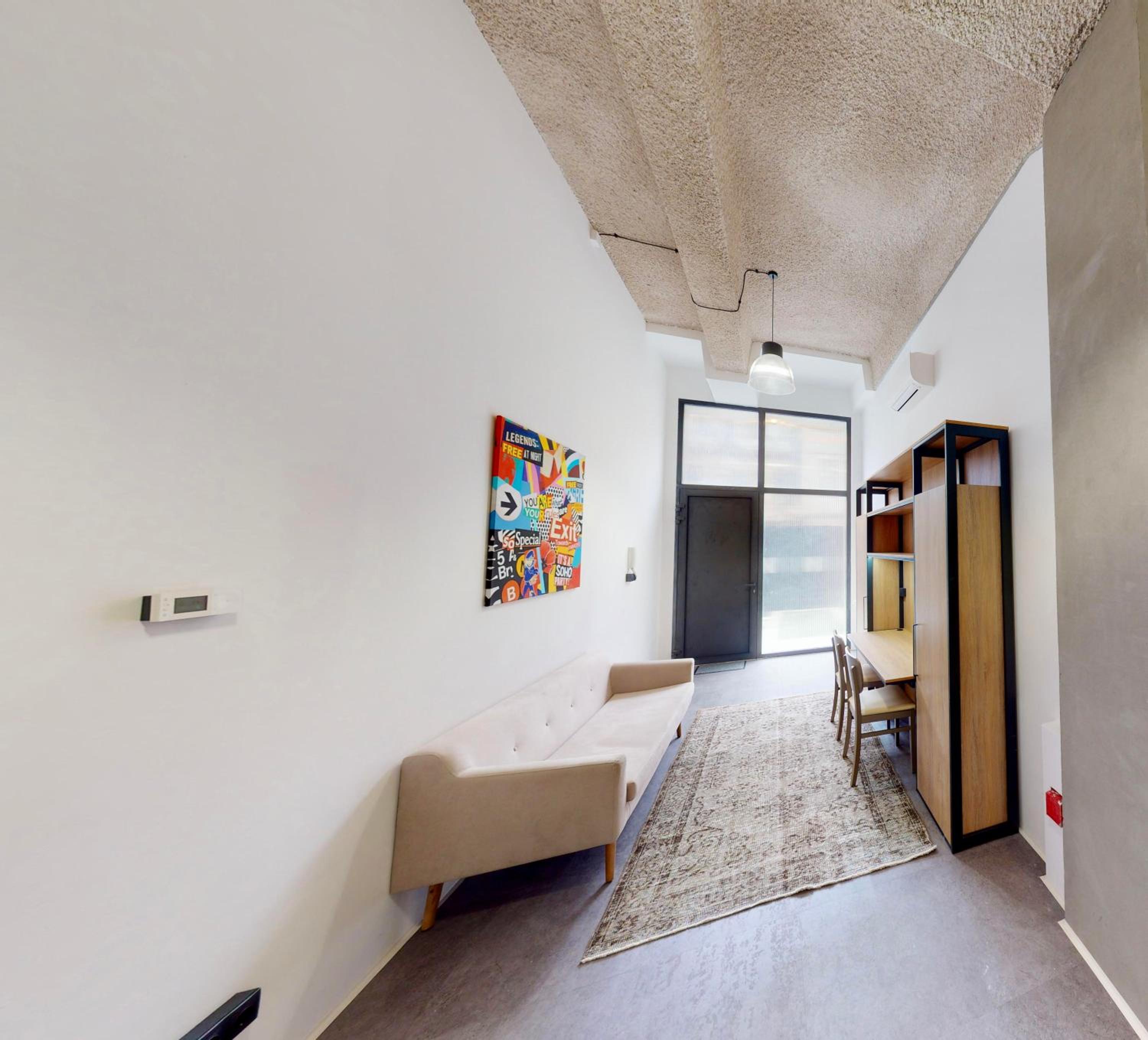 One-bedroom Loft Apartment 