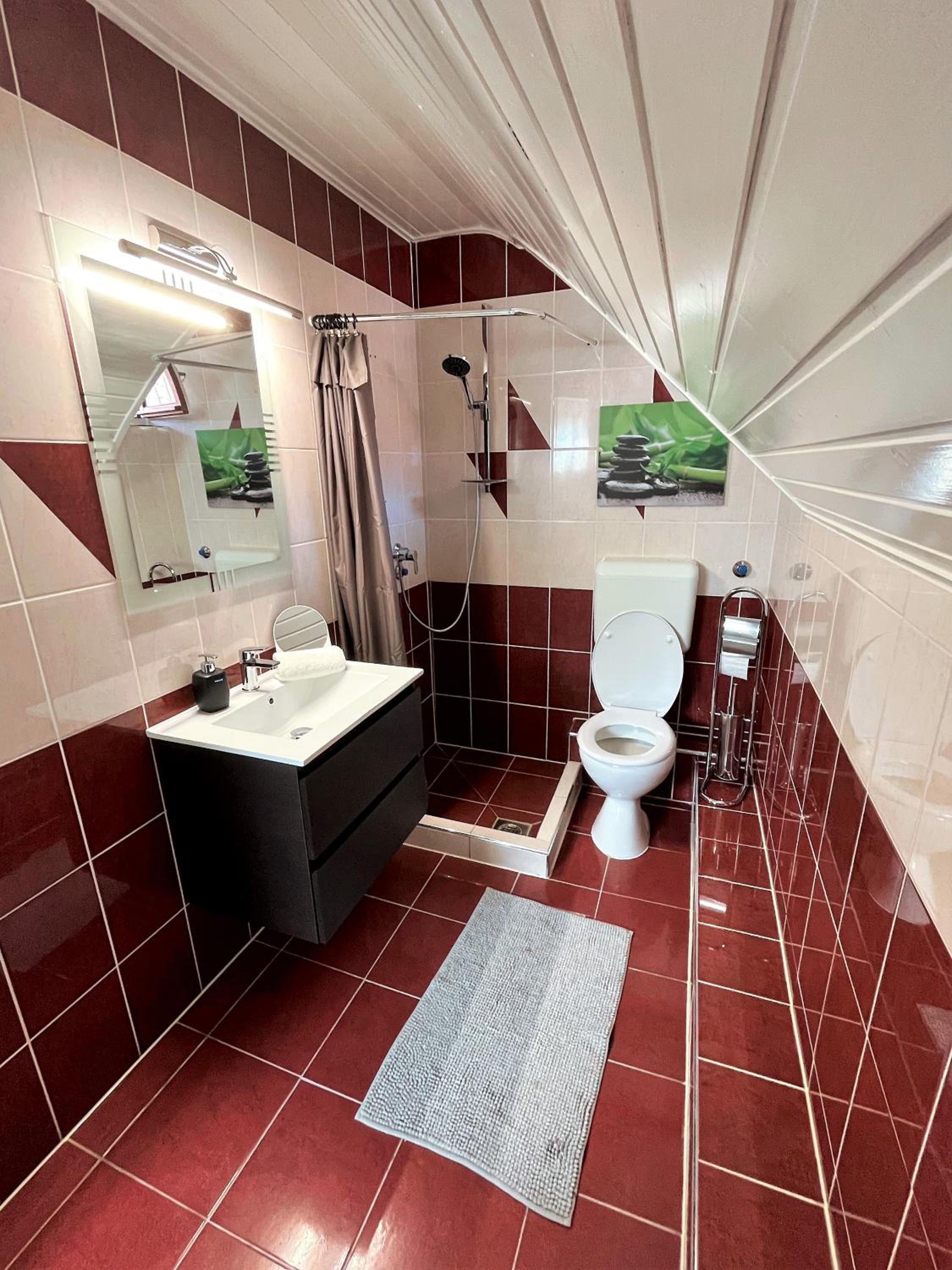Apartment with Shower photo 2
