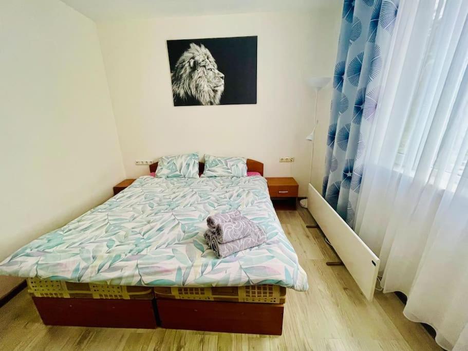 One-Bedroom Apartment - Photo 20