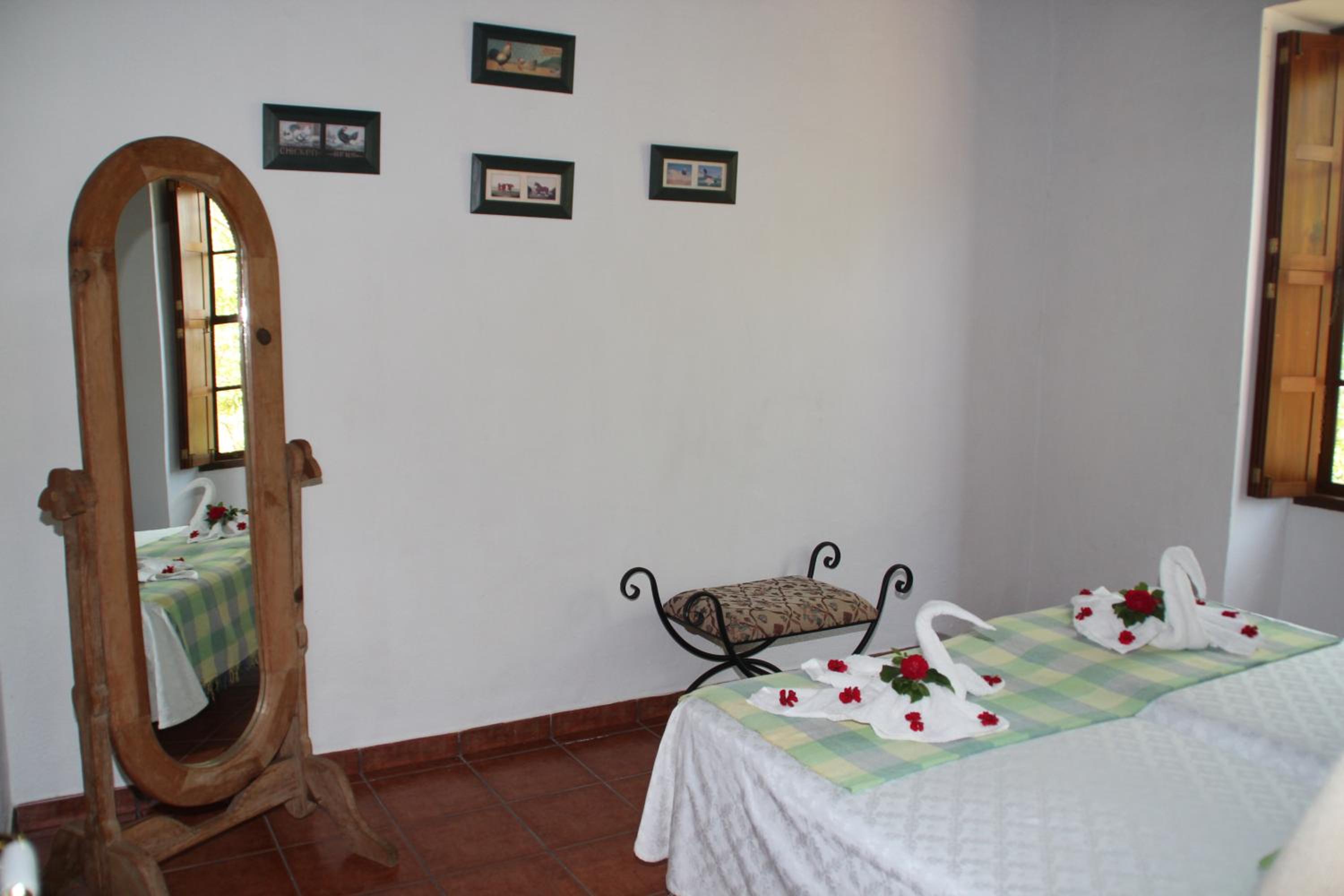 Deluxe Bungalow with Garden View photo 3