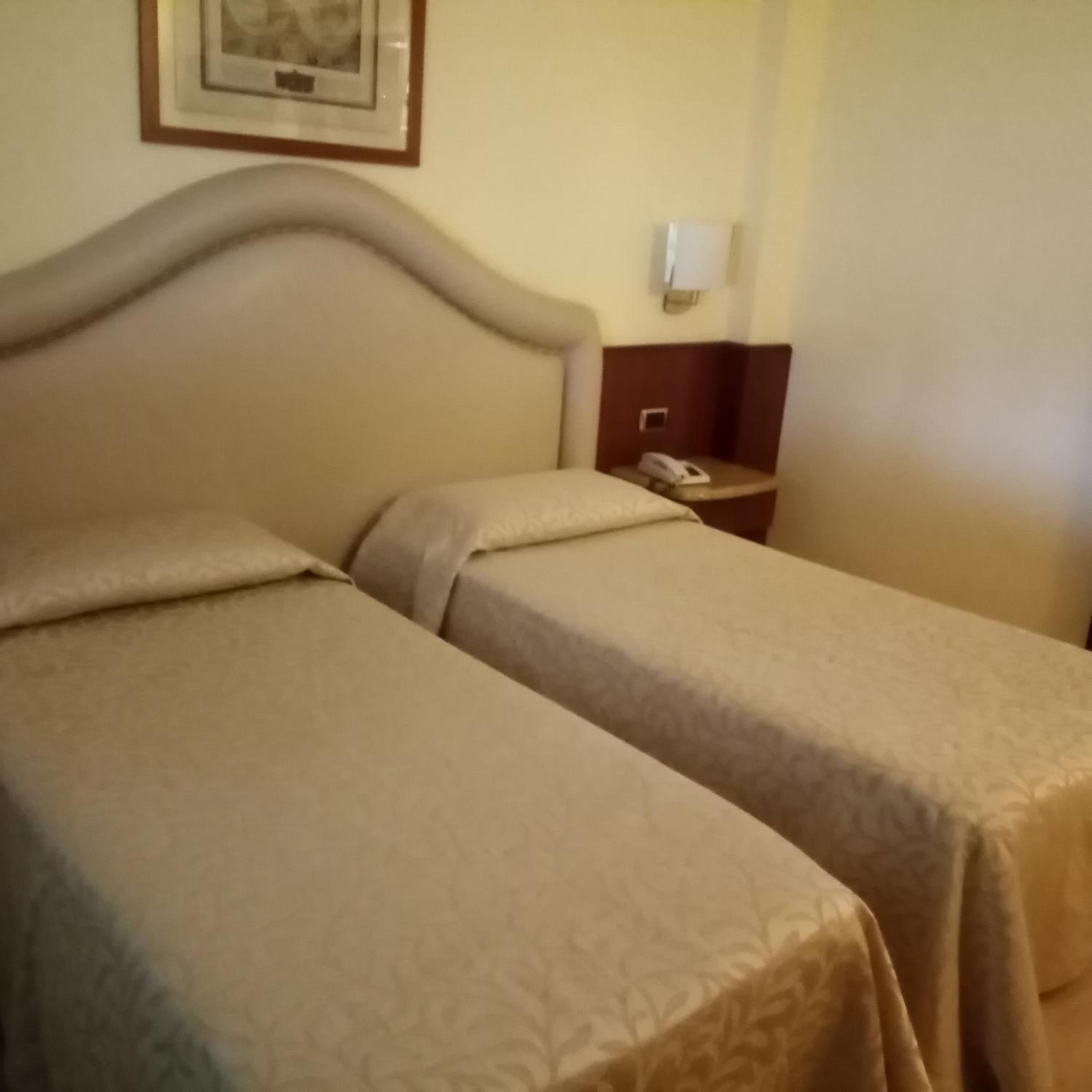 Twin Room photo 2