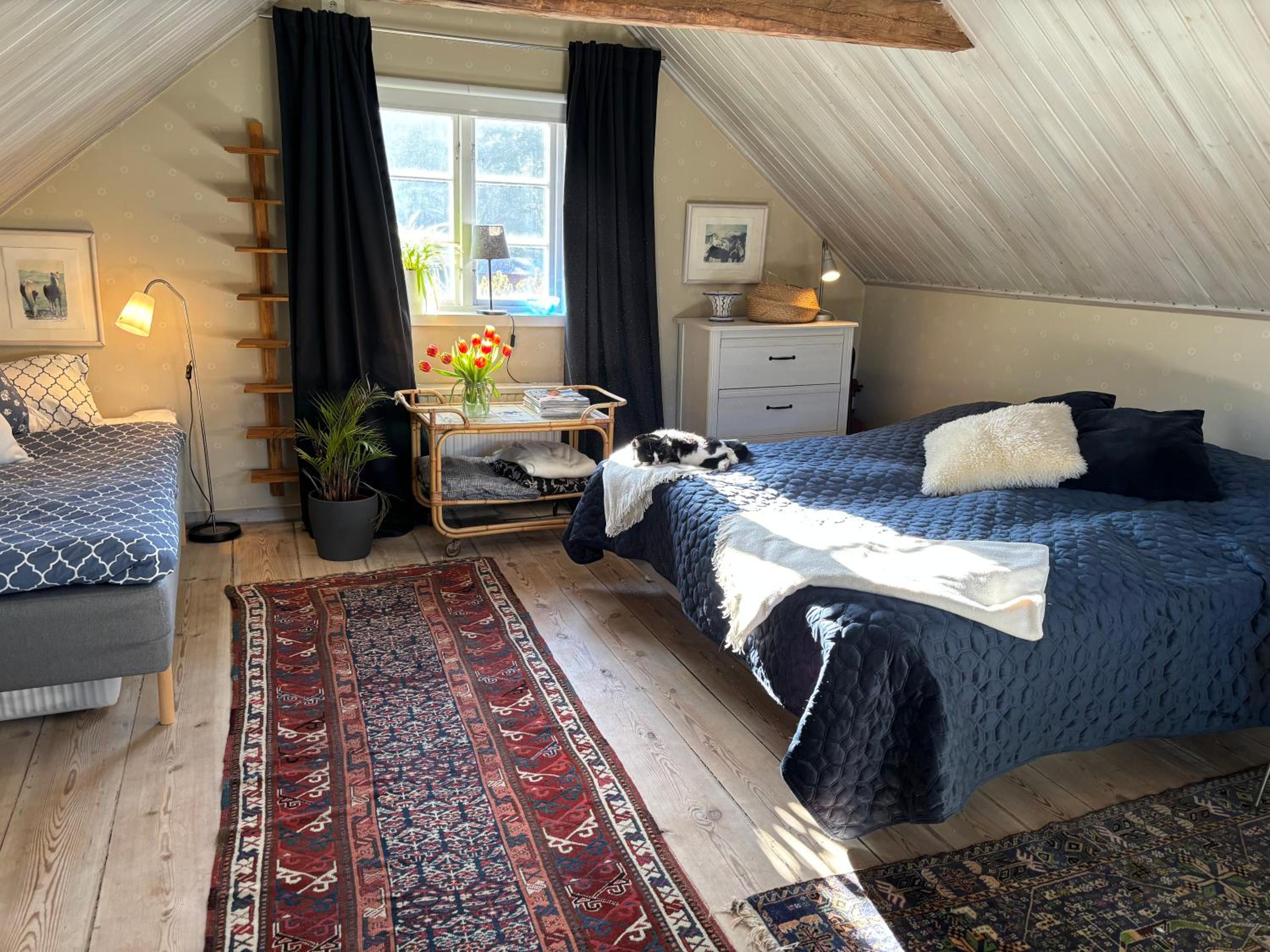 One-Bedroom House photo 3