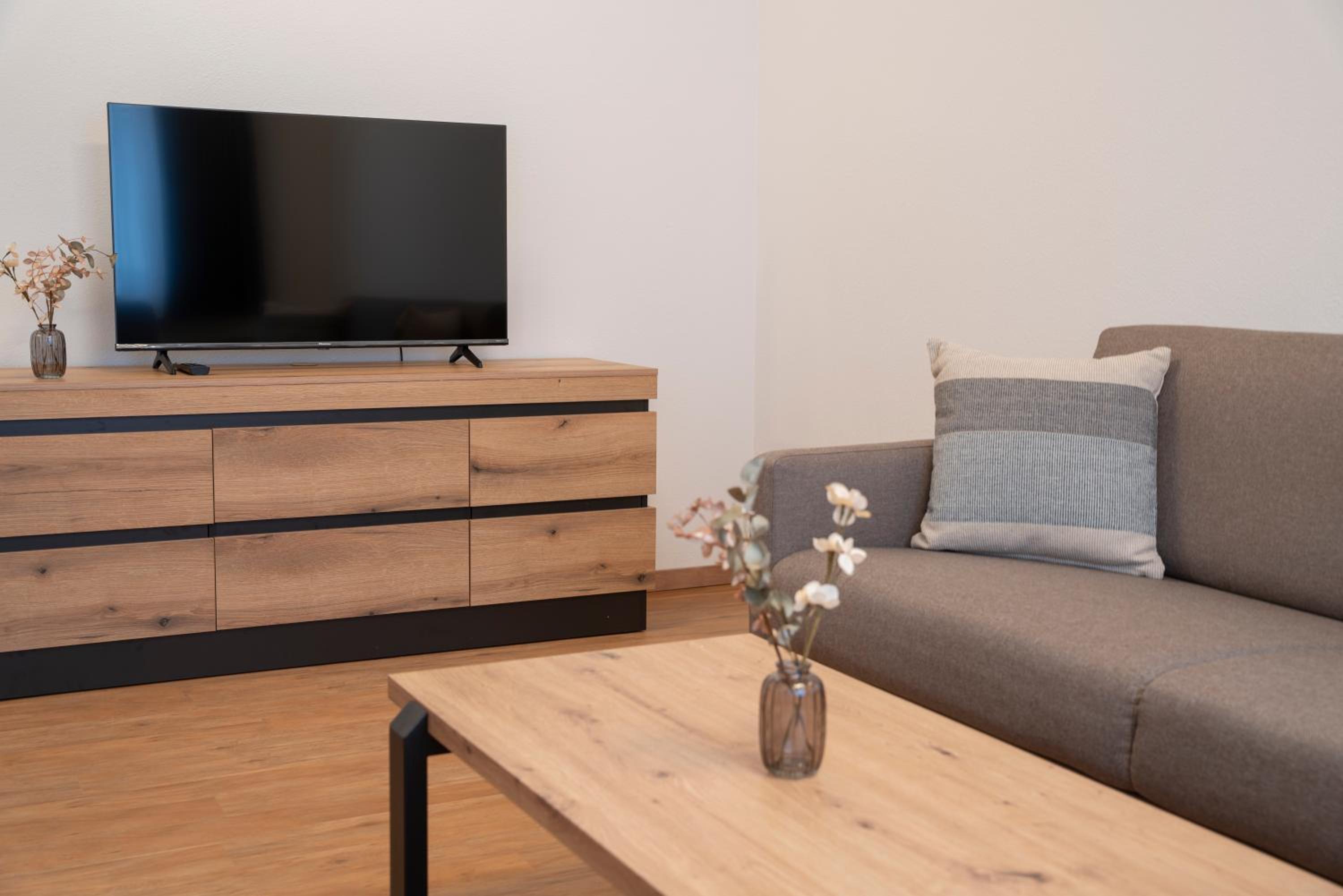One-Bedroom Family Apartment photo 2