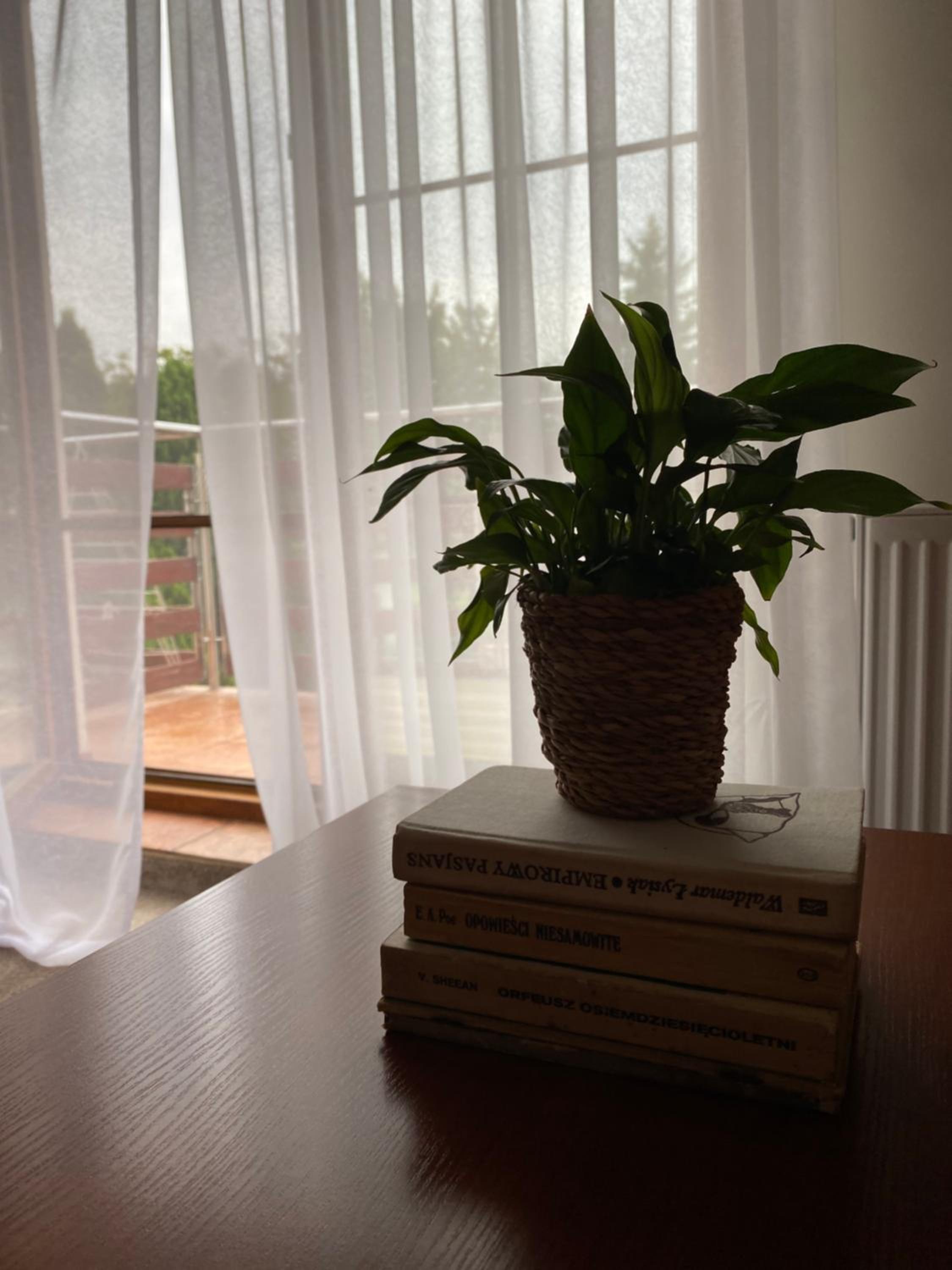 Studio with Balcony - Photo 10