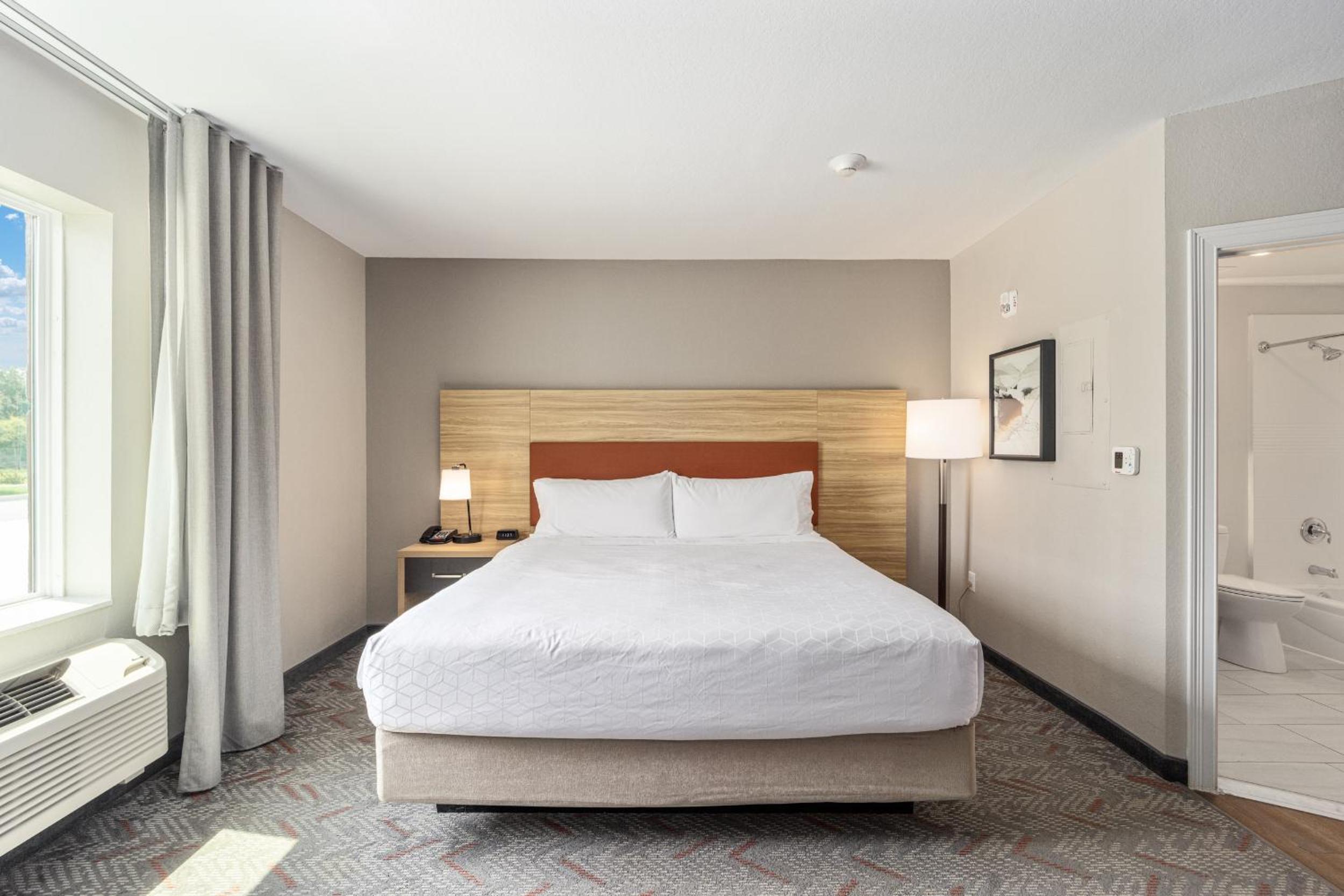 King Studio Suite - Photo 1