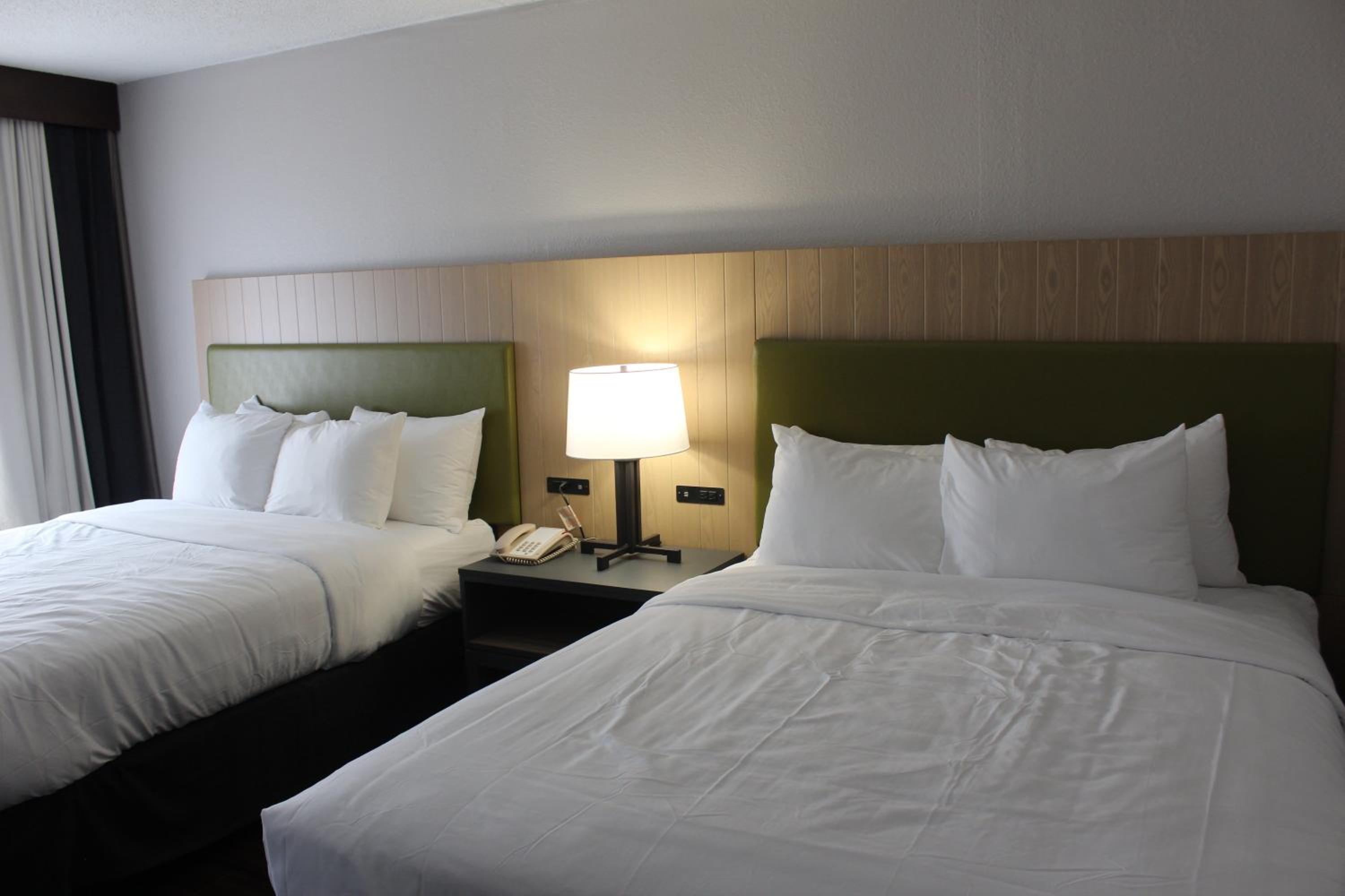 2 Queen Beds  photo 3