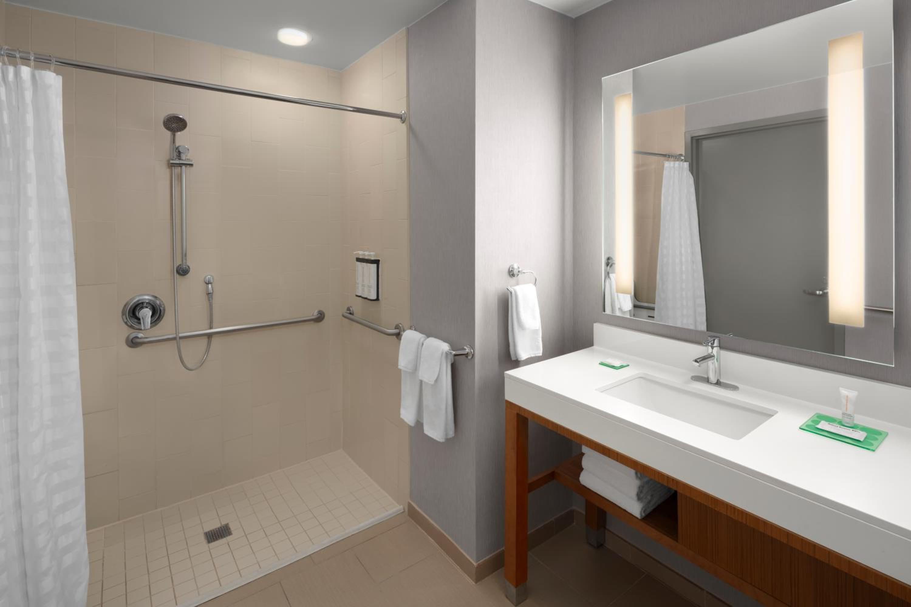 King Room with Sofa Bed and Roll-In Shower - Disability Access - Photo 5