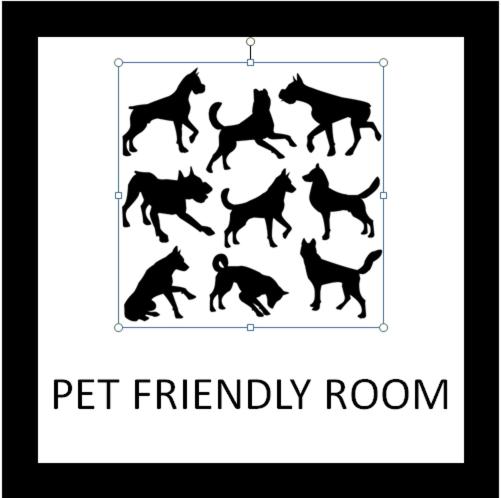 Pet Friendly King photo 2