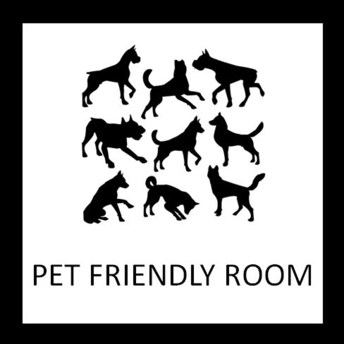 Pet Friendly King photo 1