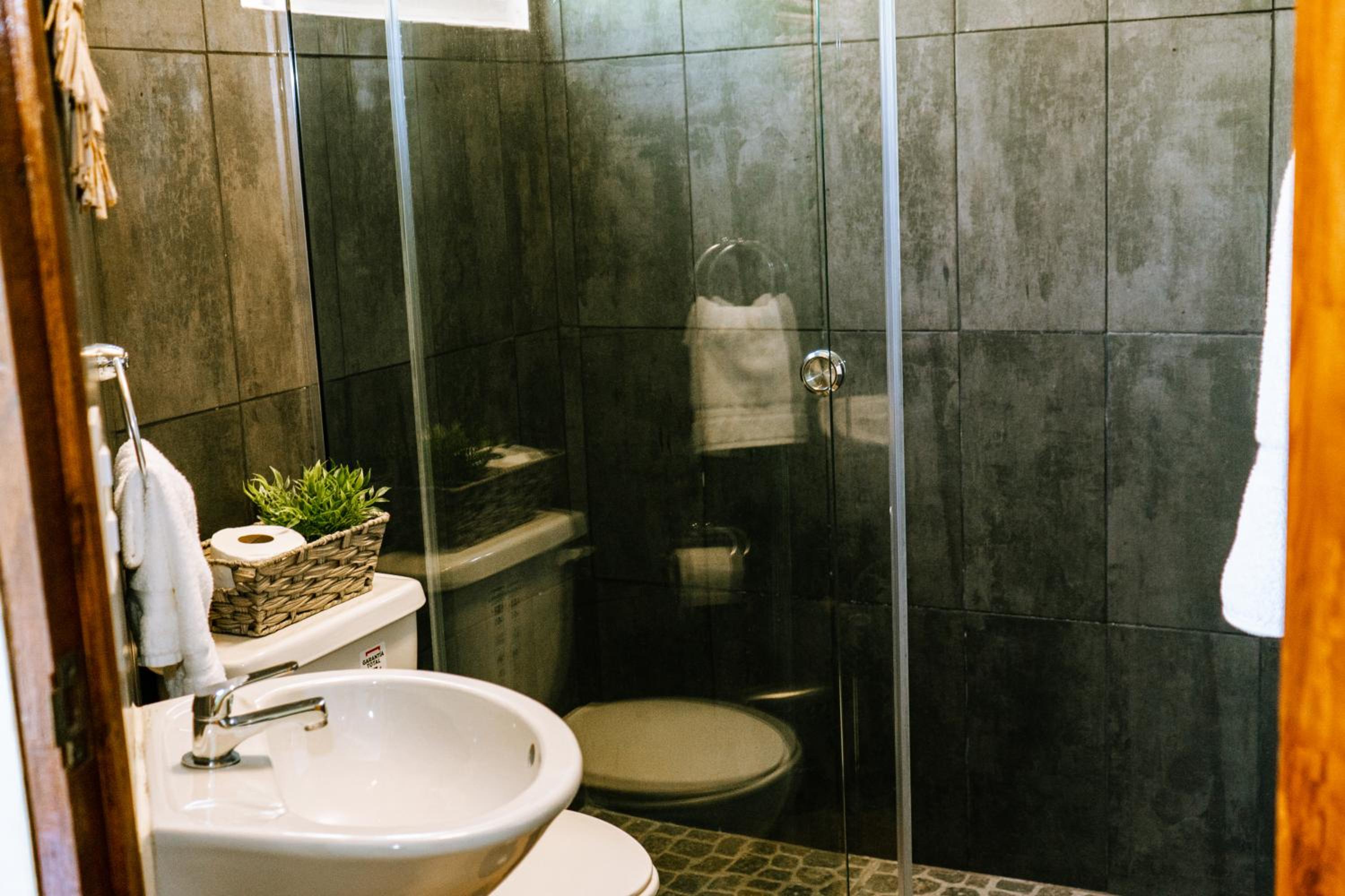 Basic Triple Room