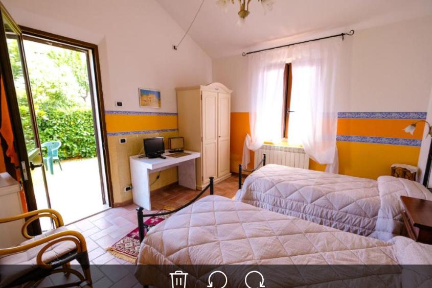 Single Bed in Mixed Dormitory Room photo 1