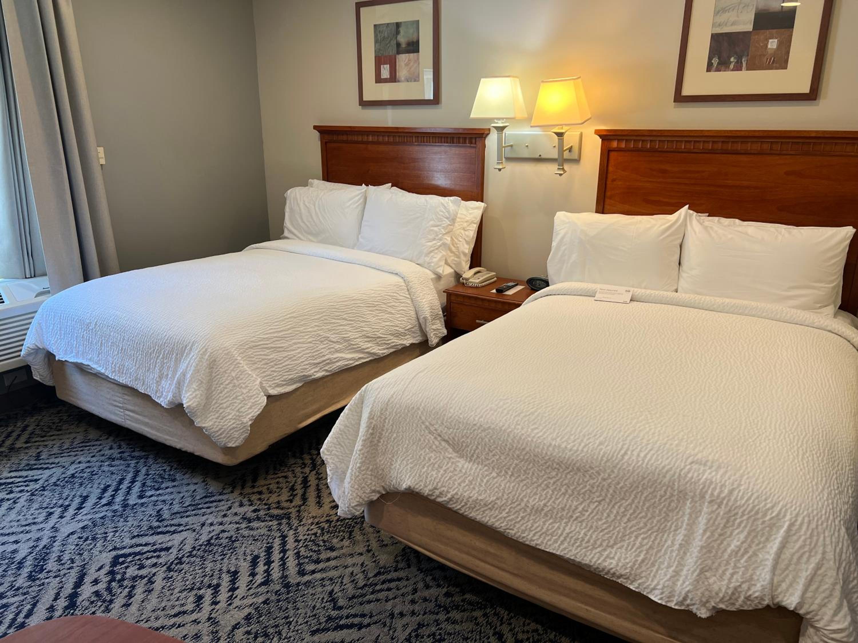 Studio Suite with Two Double Beds - Photo 1