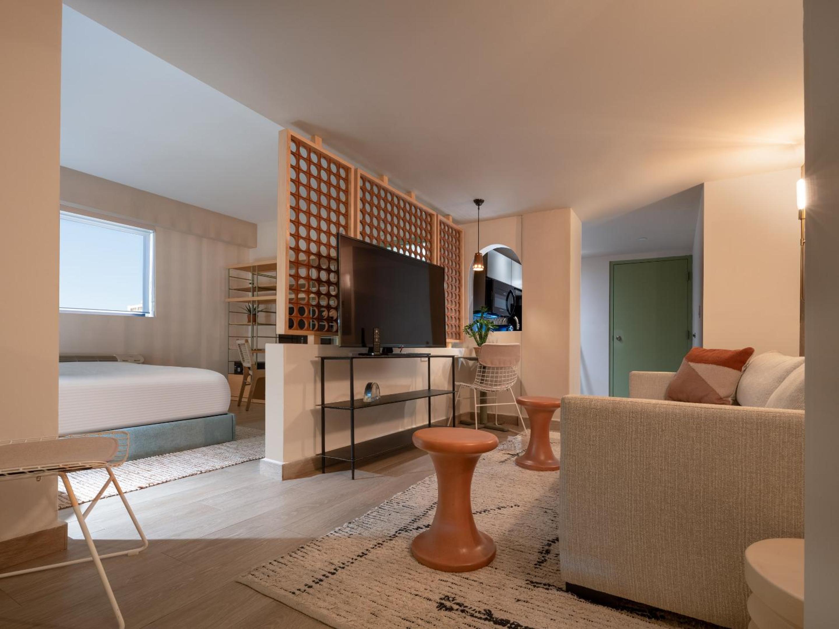 Studio Suite - Photo 8
