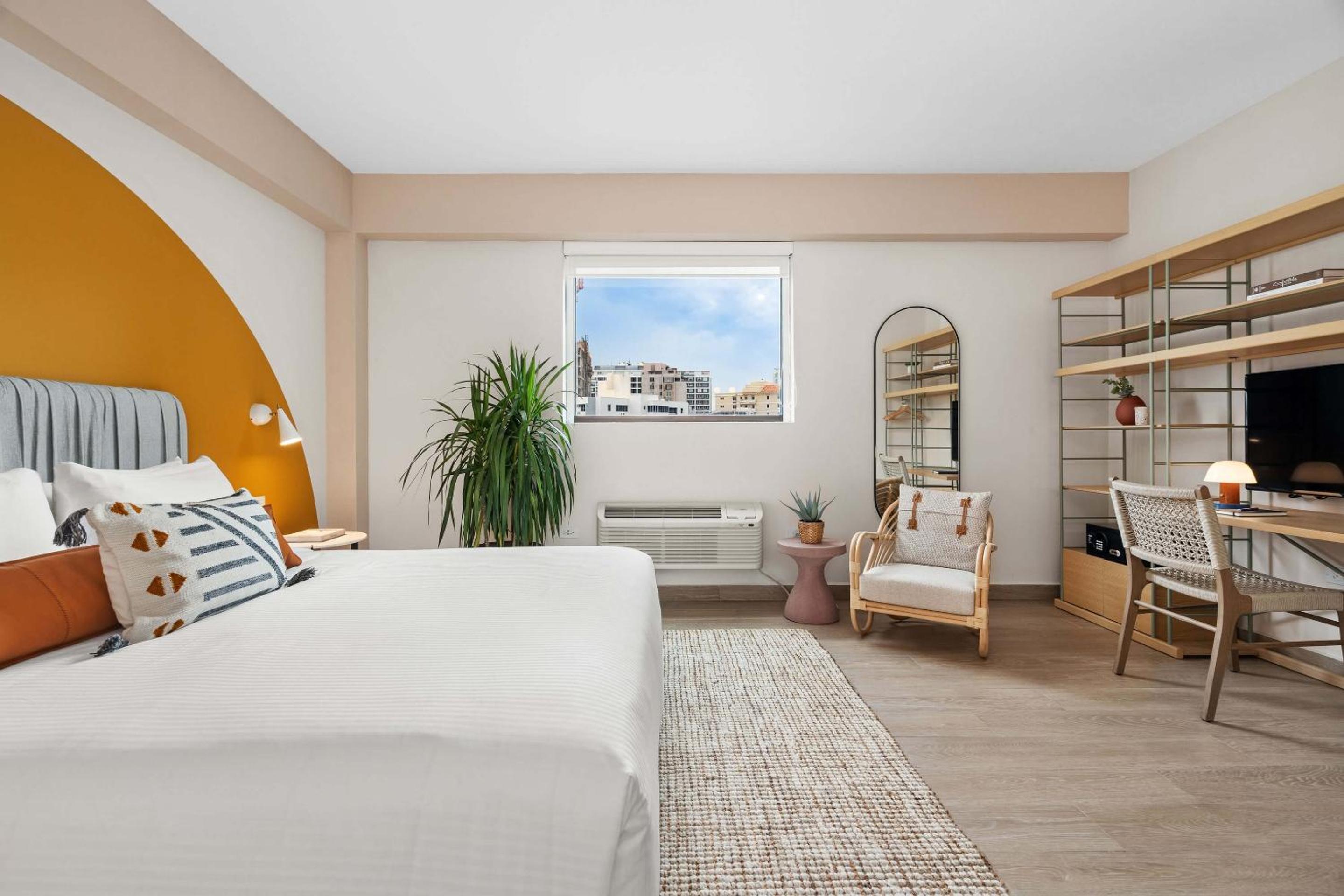 1 Bedroom Apartment - Photo 2