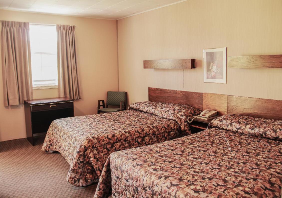 Family Suite photo 3
