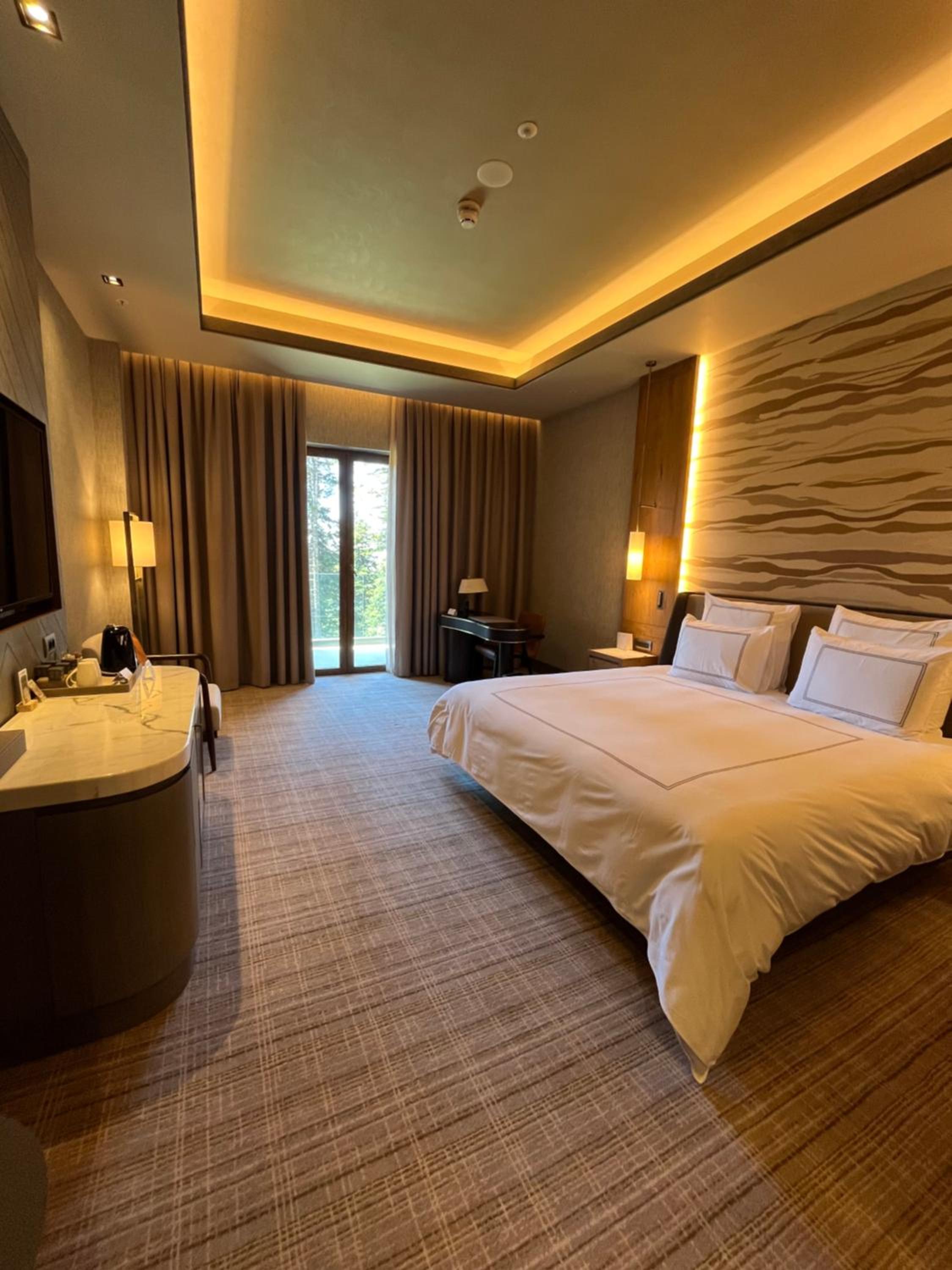 Swiss Executive King Room with Terrace - Photo 5