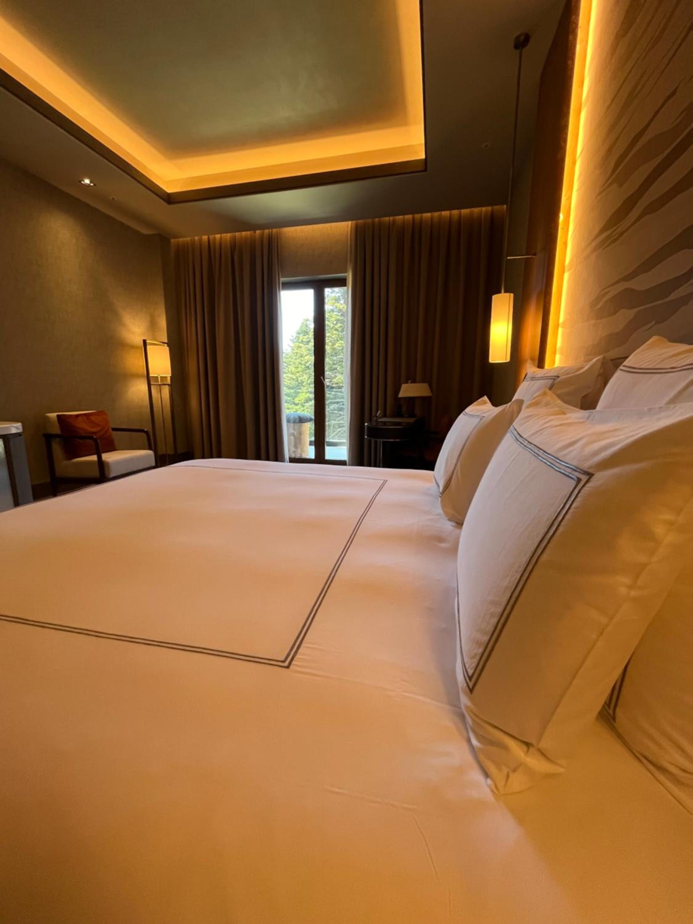 Swiss Executive King Room with Terrace - Photo 1