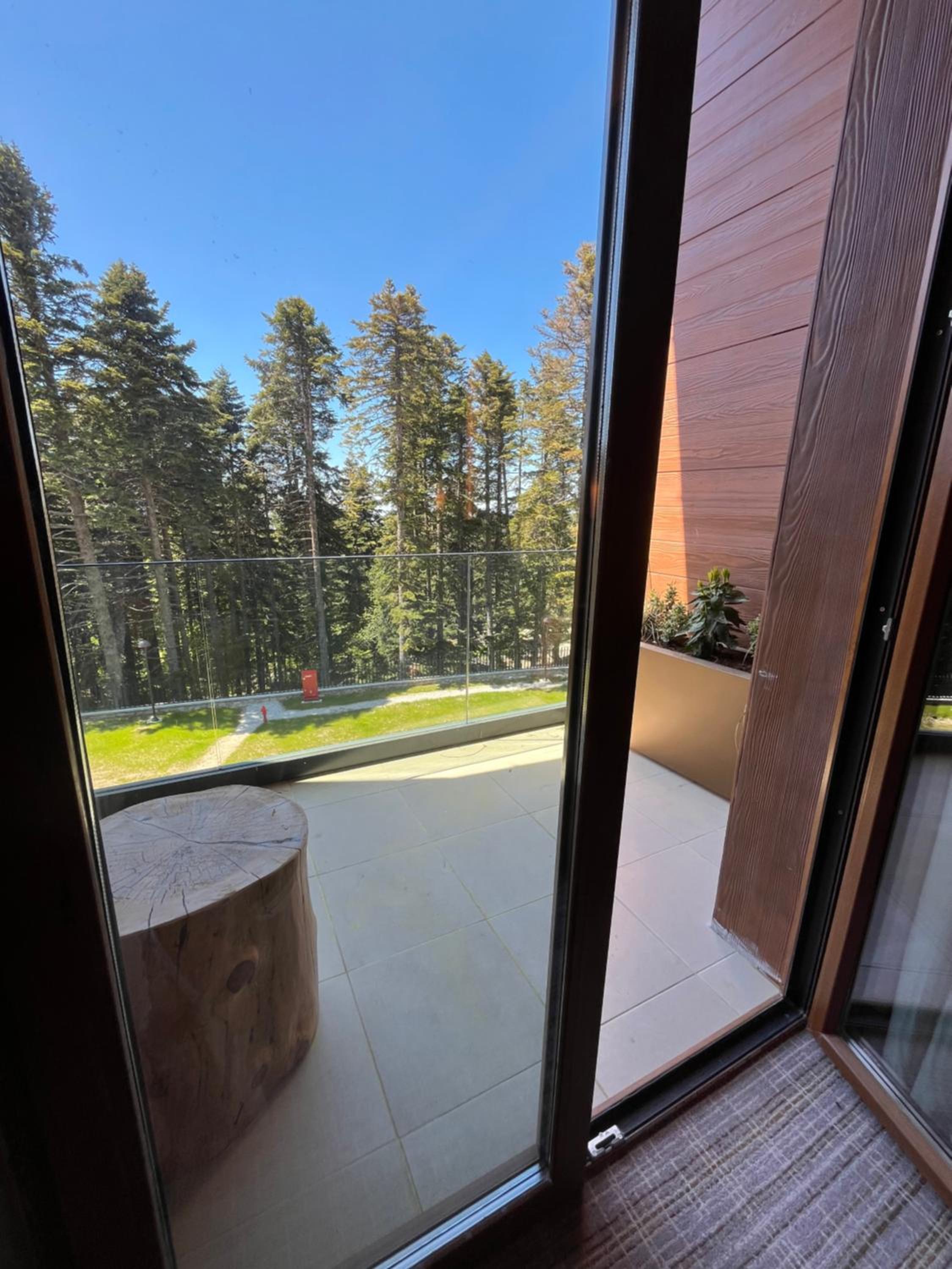 Swiss Executive King Room with Terrace - Photo 4