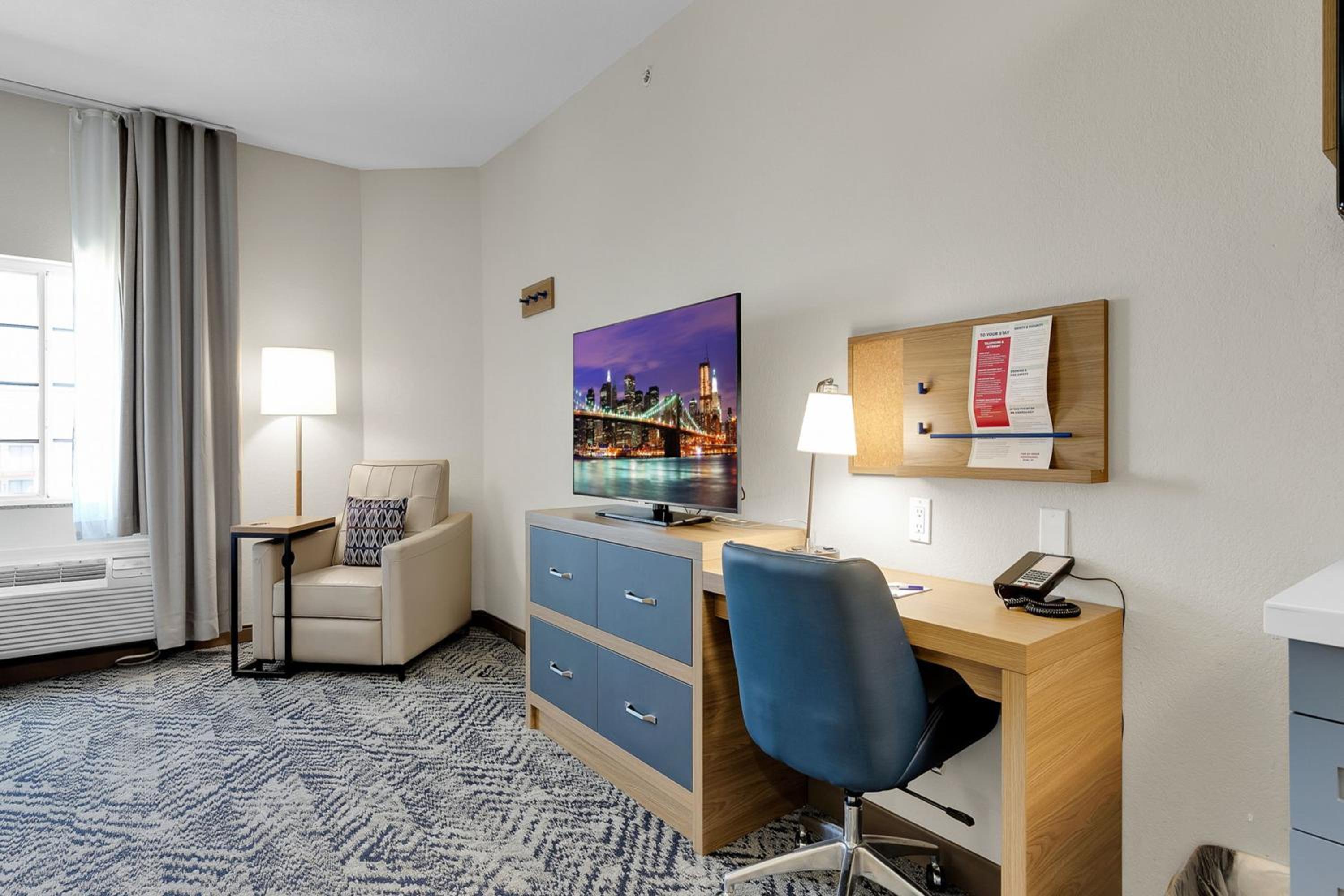 Studio Suite - Photo 1