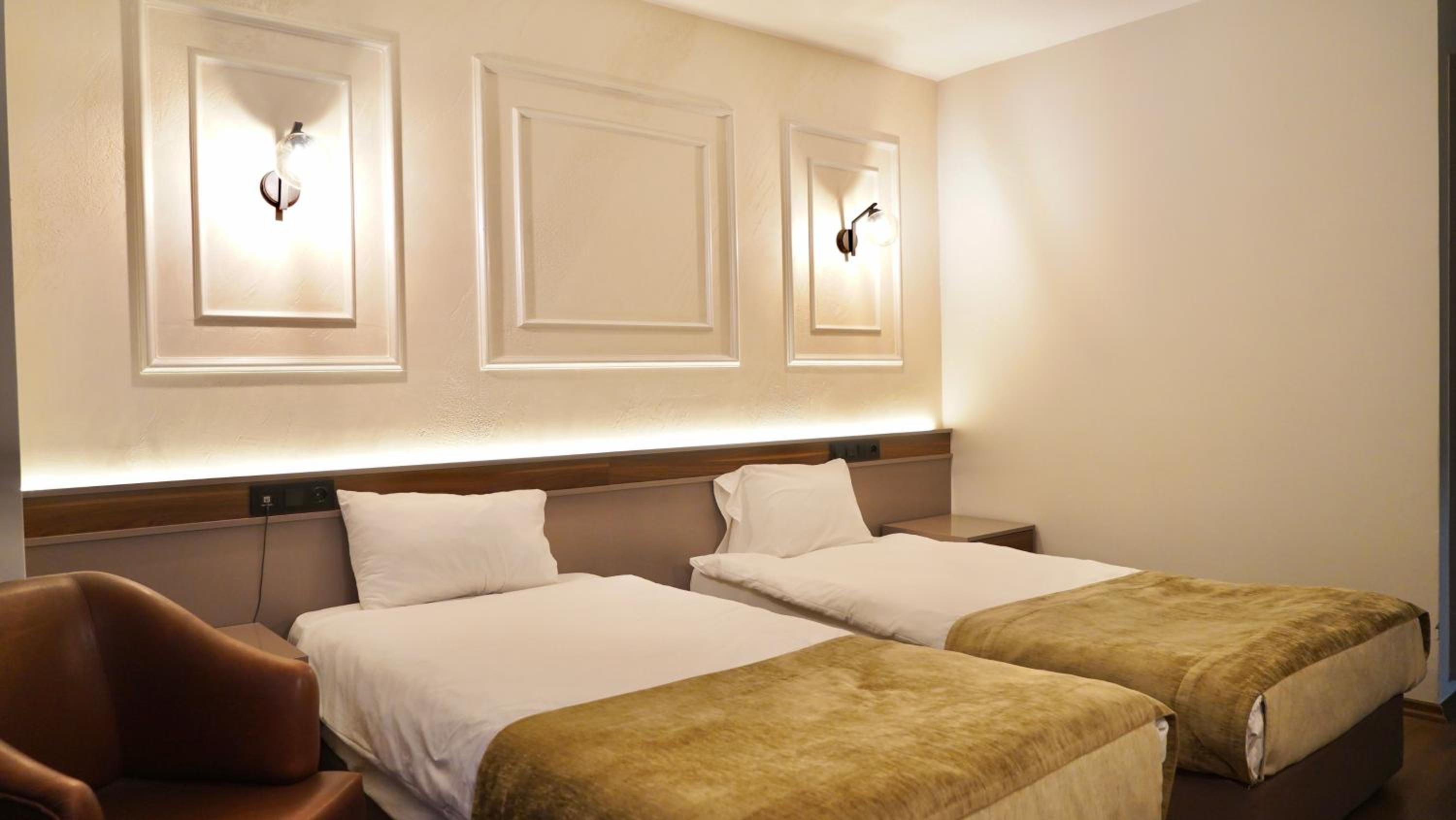Deluxe Double or Twin Room photo 3