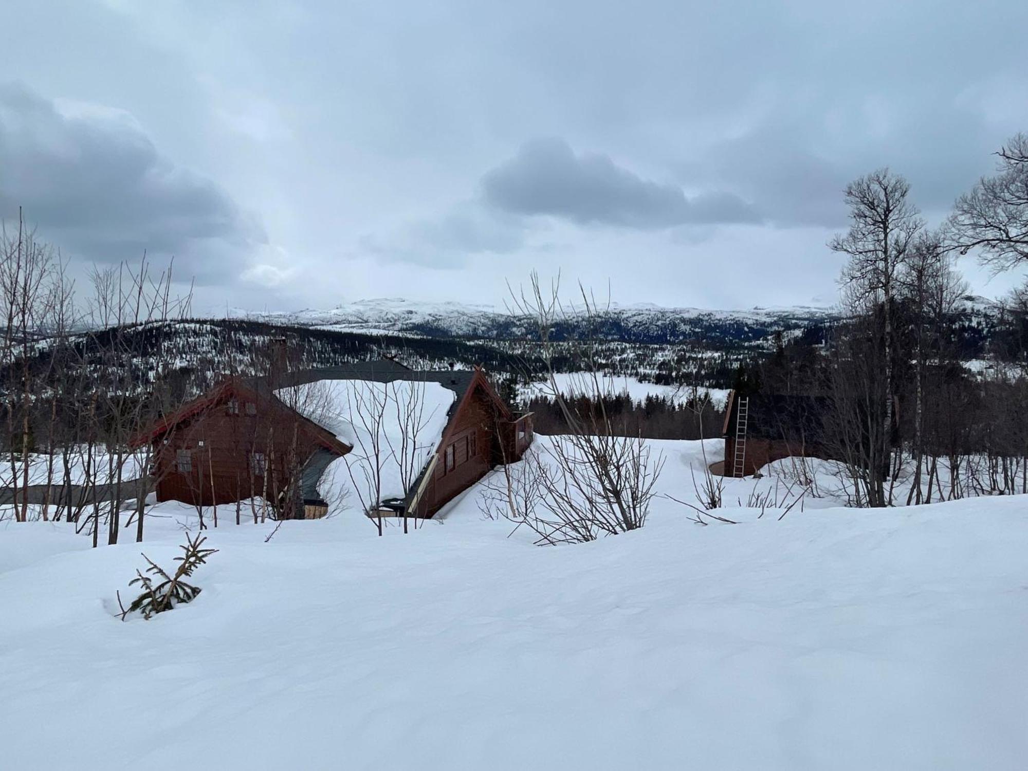 Vacation Home photo 3