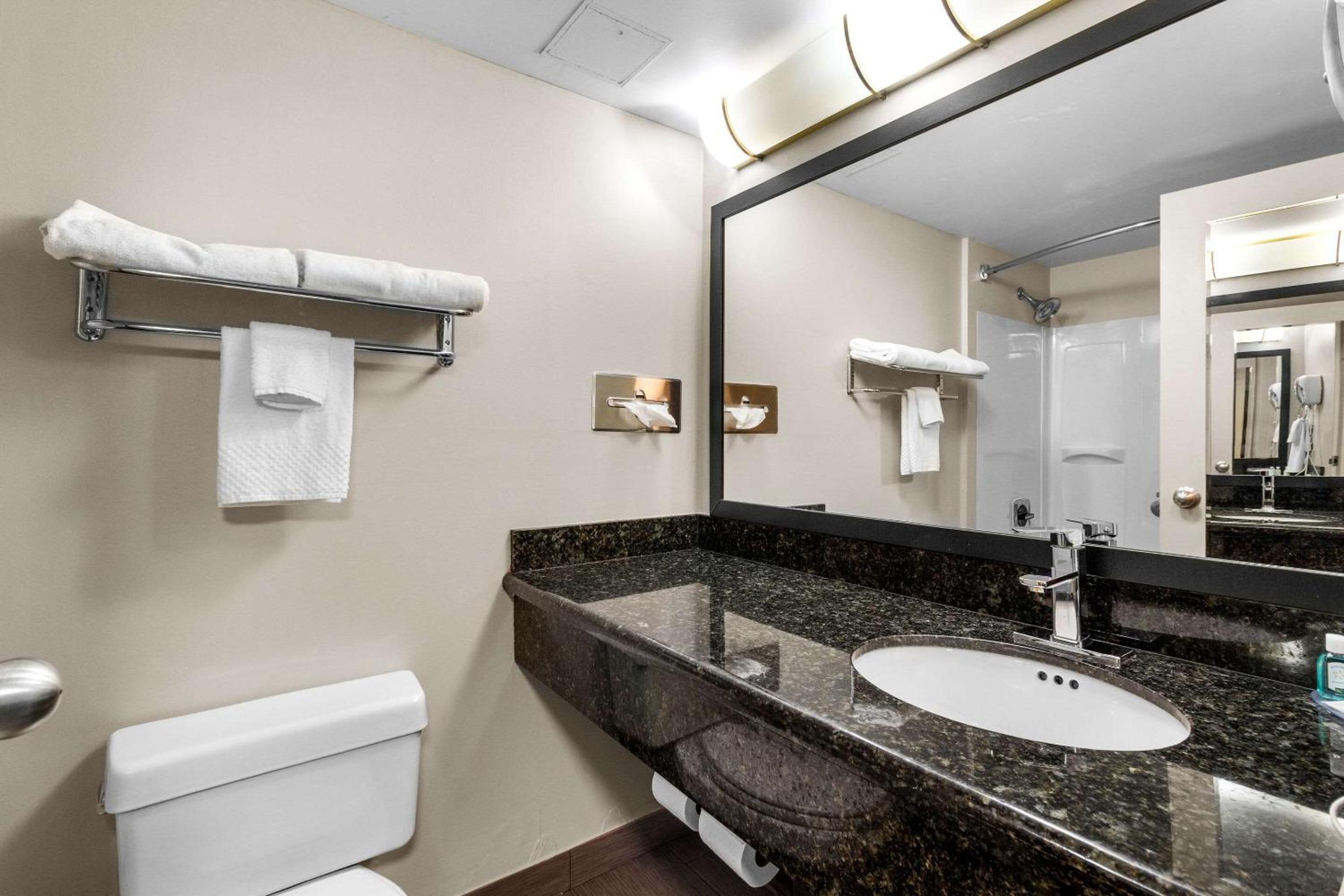 King Suite with Sofa Bed - Photo 4