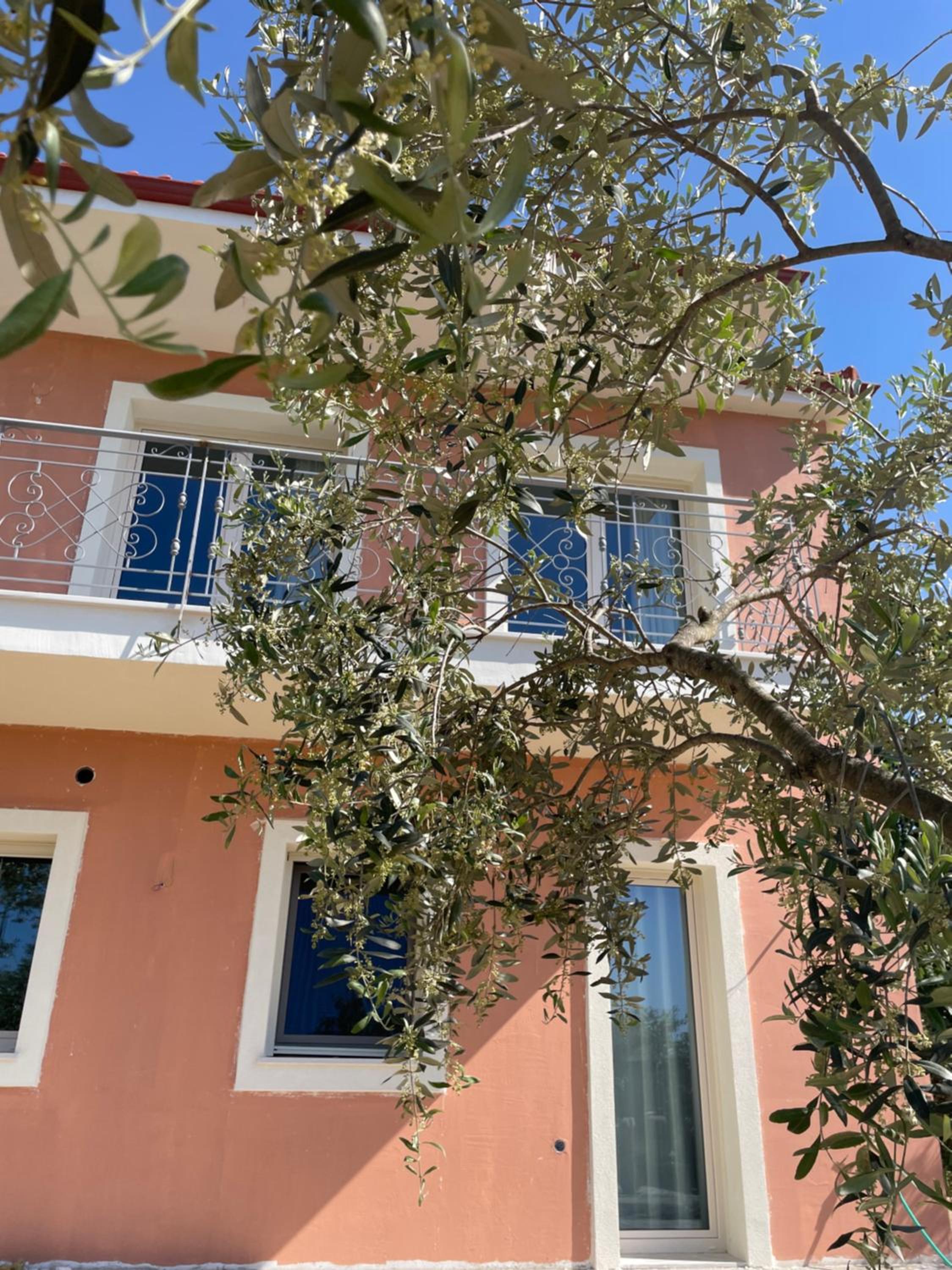 Villa photo 3