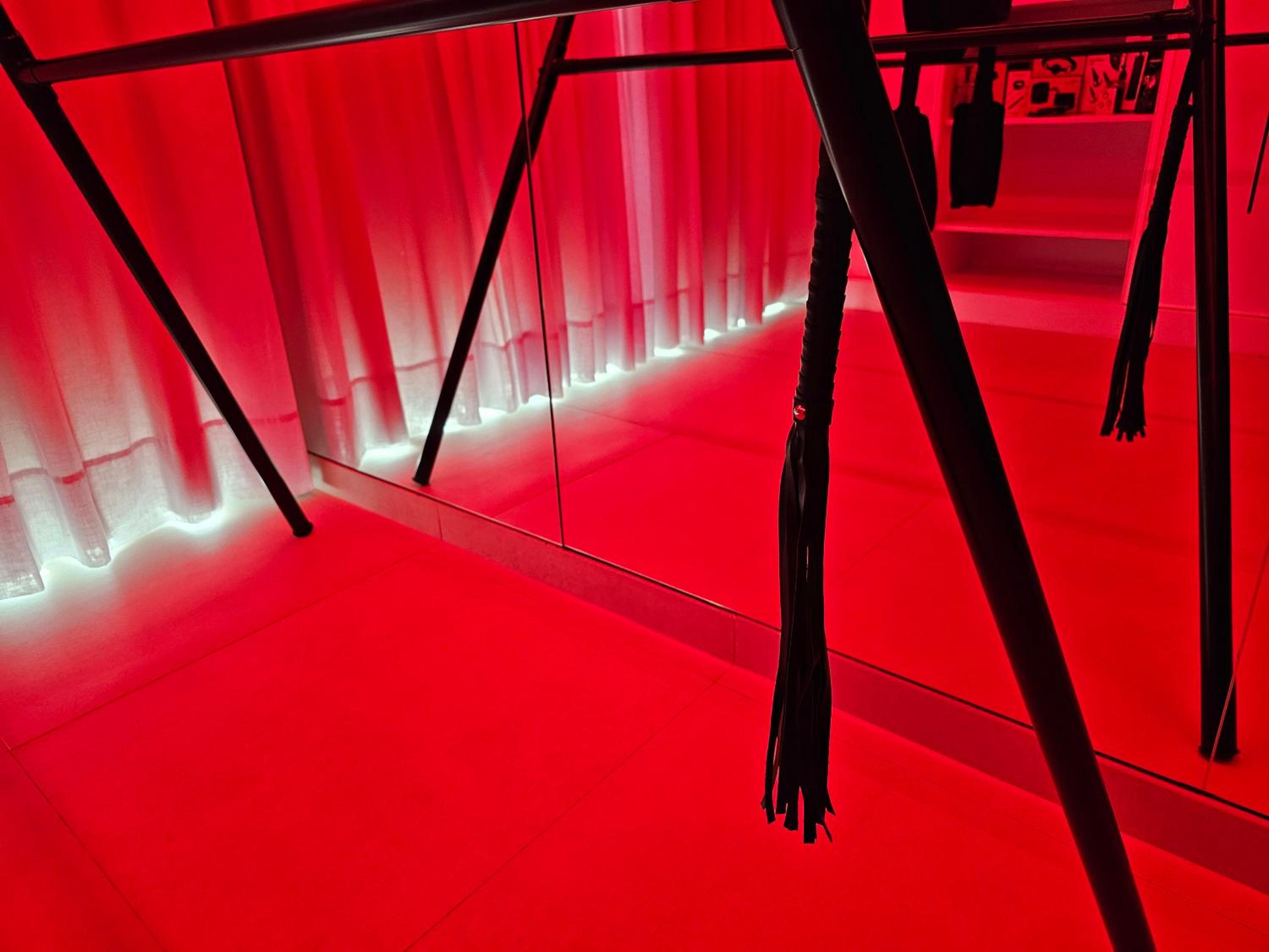 Lust Apartment semi-basement photo 3