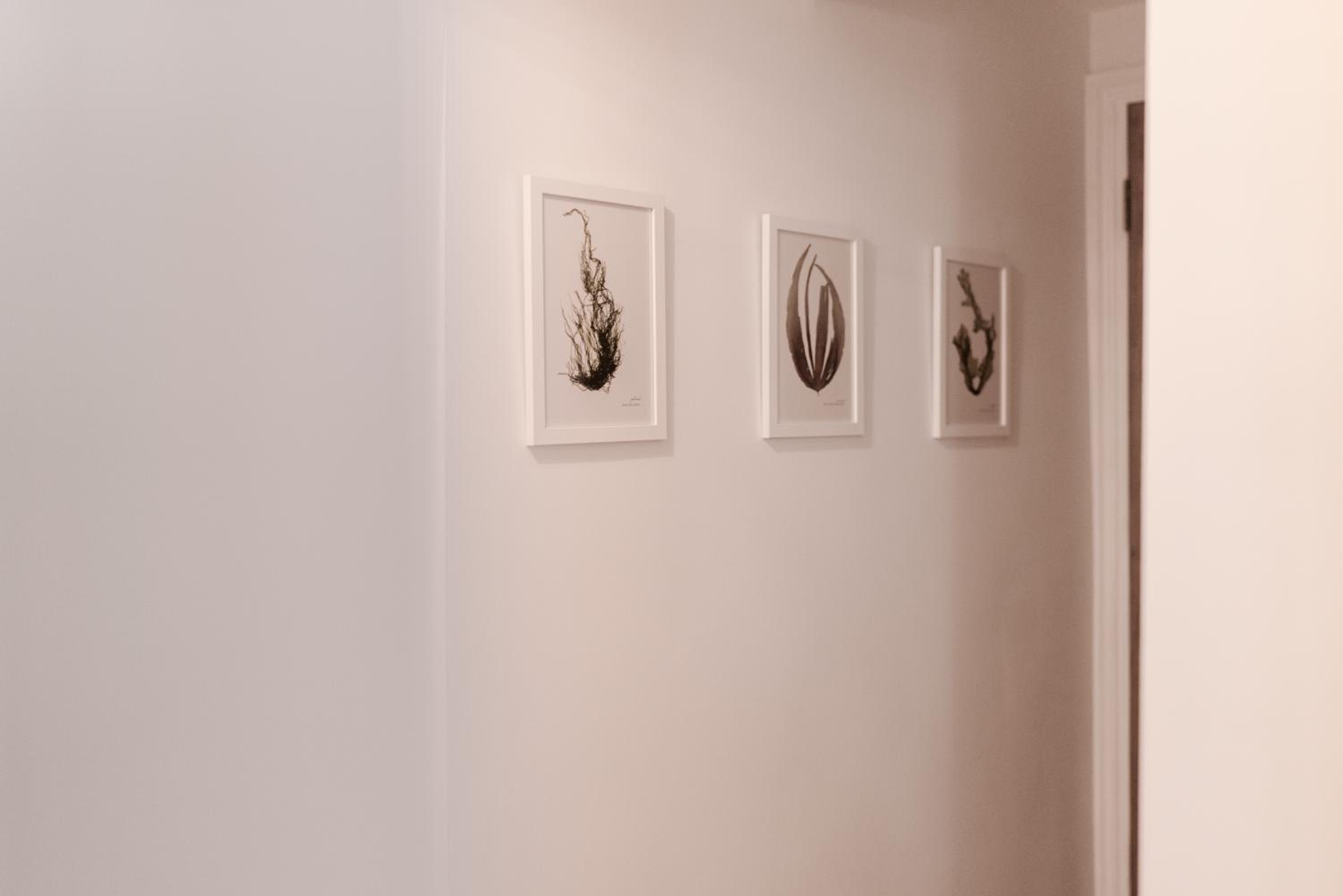 One-Bedroom House photo 2