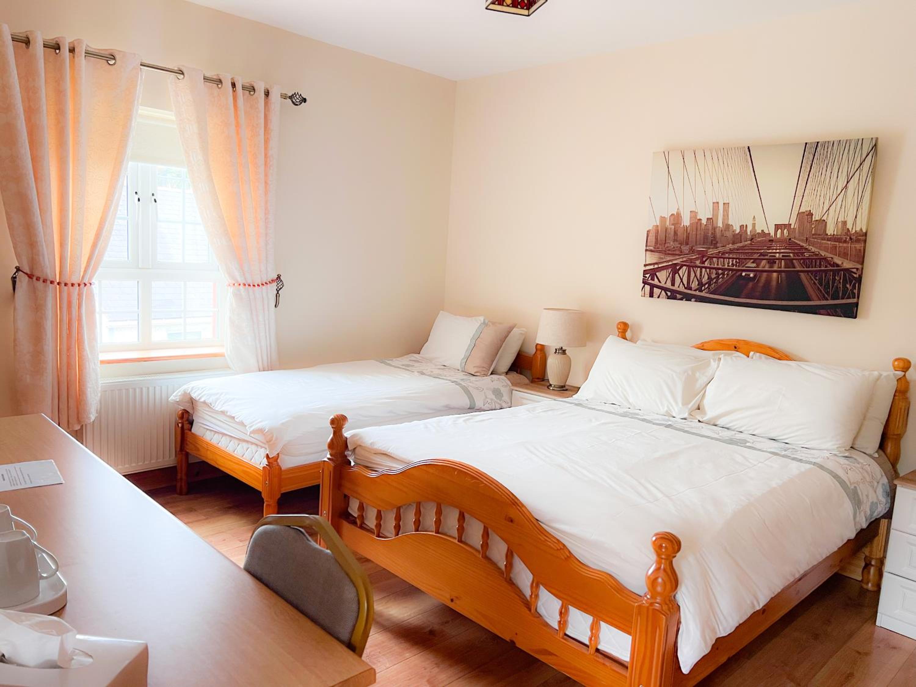 Deluxe Double or Twin Room photo 1