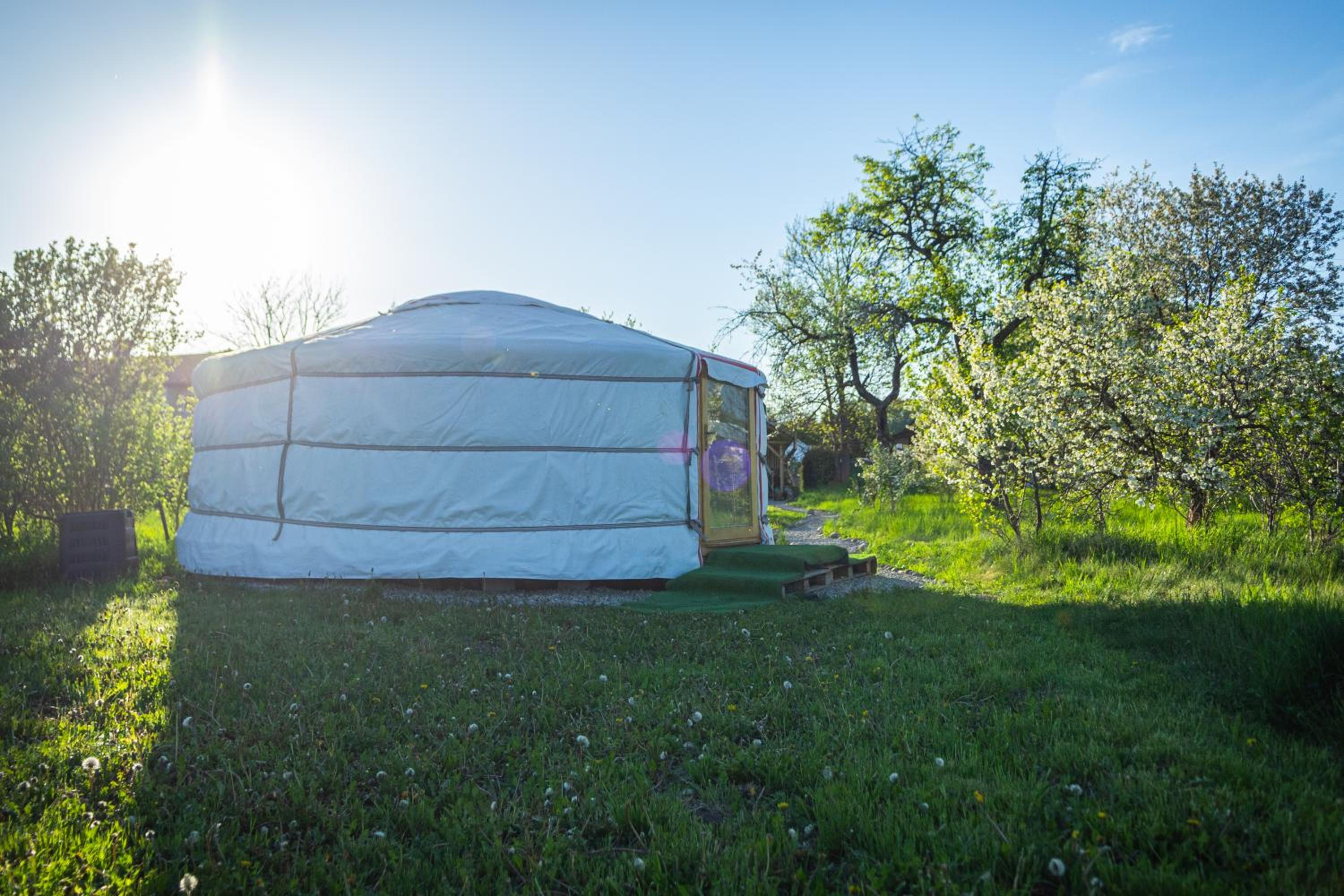 Tent photo 3