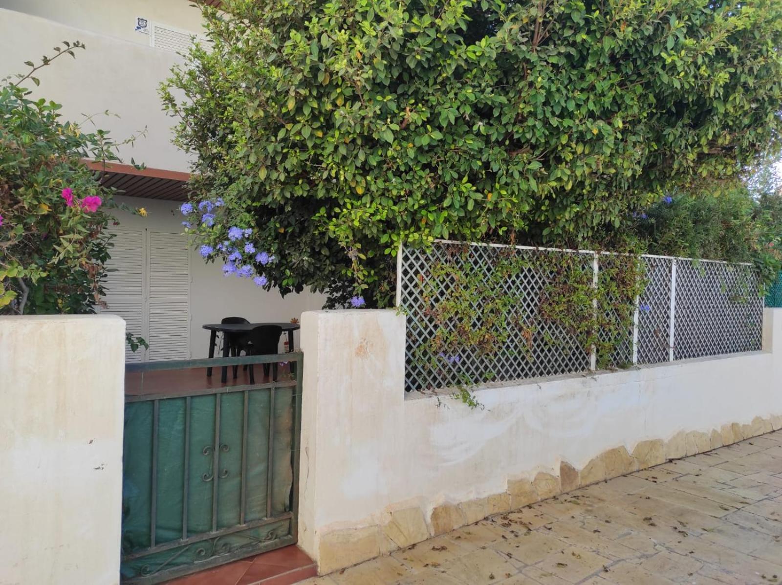 One-Bedroom House photo 3