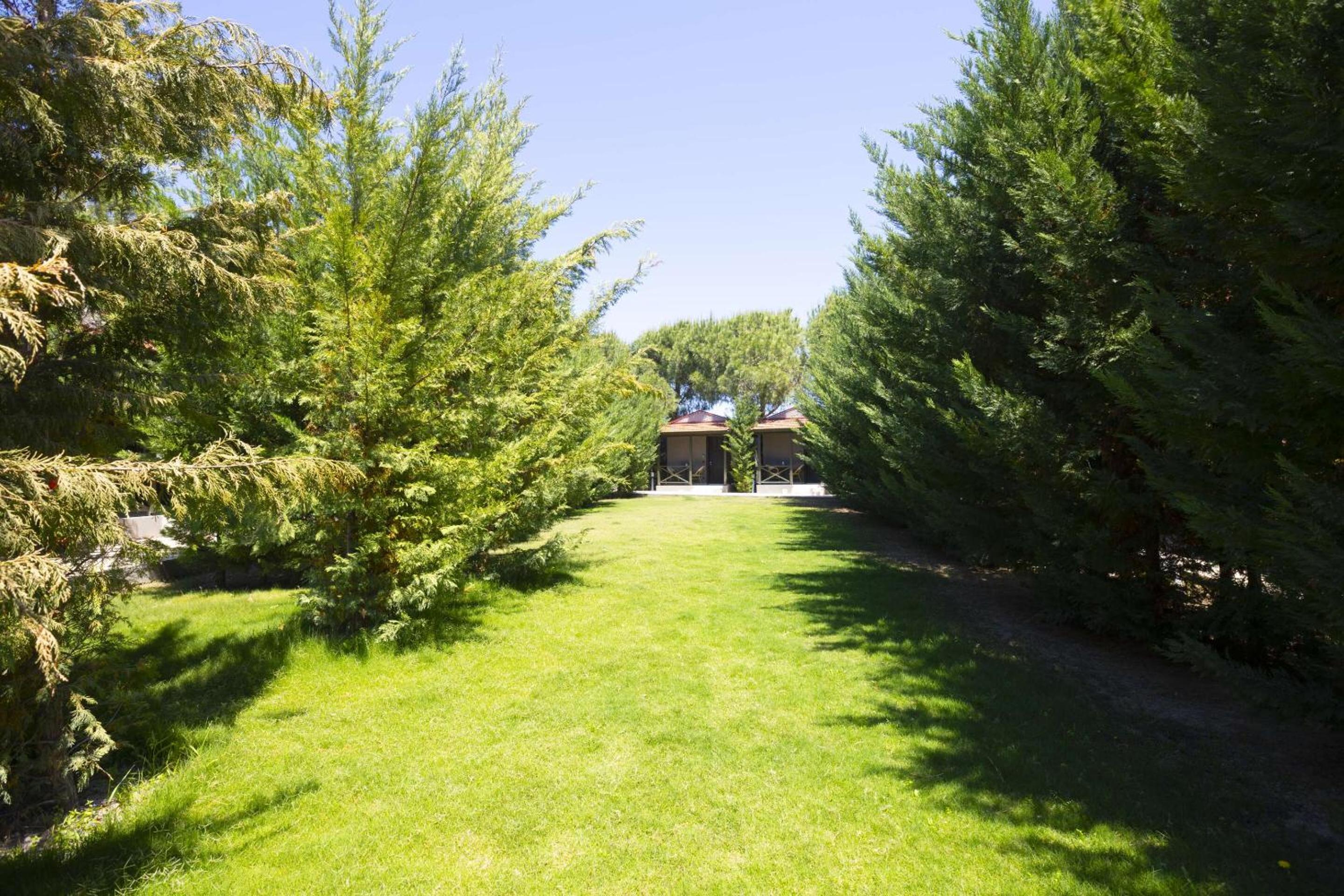 Superior Bungalow - Photo 20