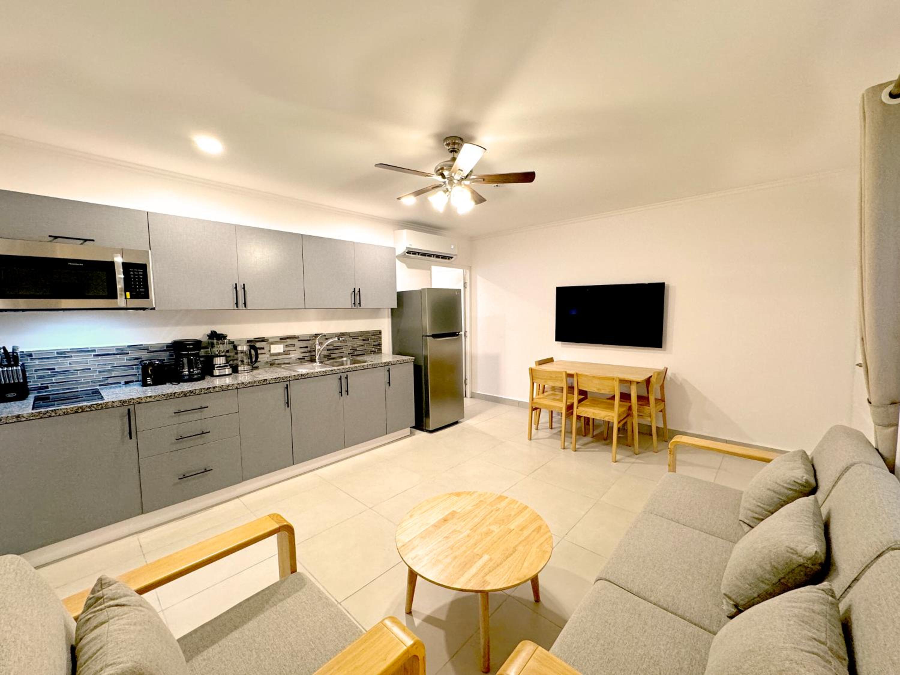 One-Bedroom Apartment photo 3