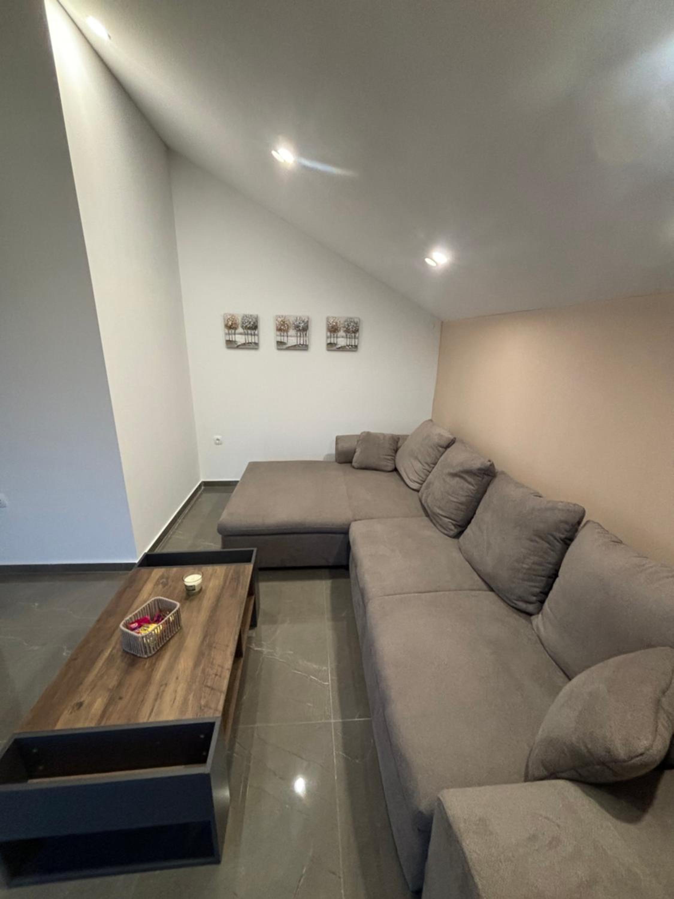 Studio with Terrace photo 1