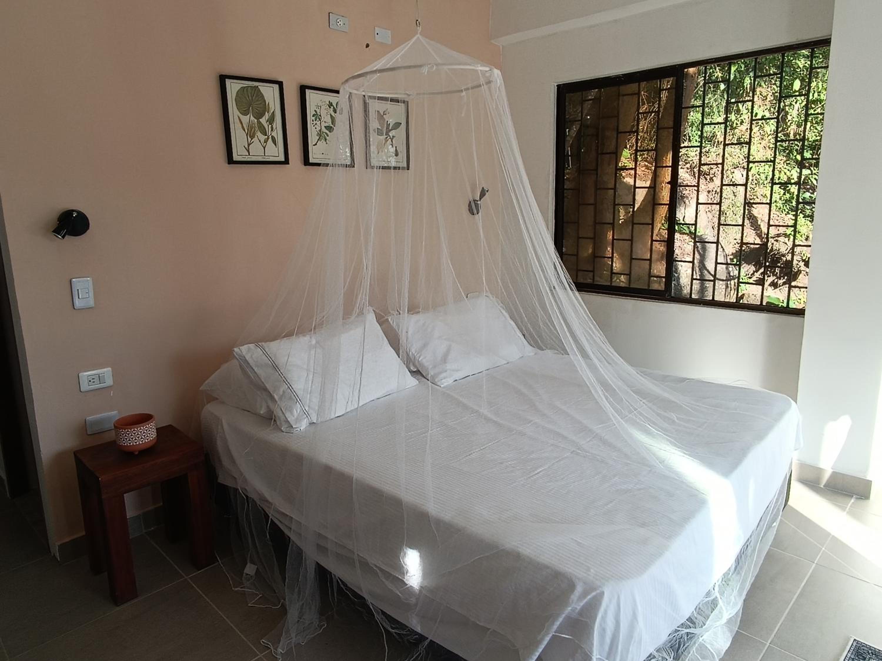 Deluxe One-Bedroom Apartment with Garden View photo 2