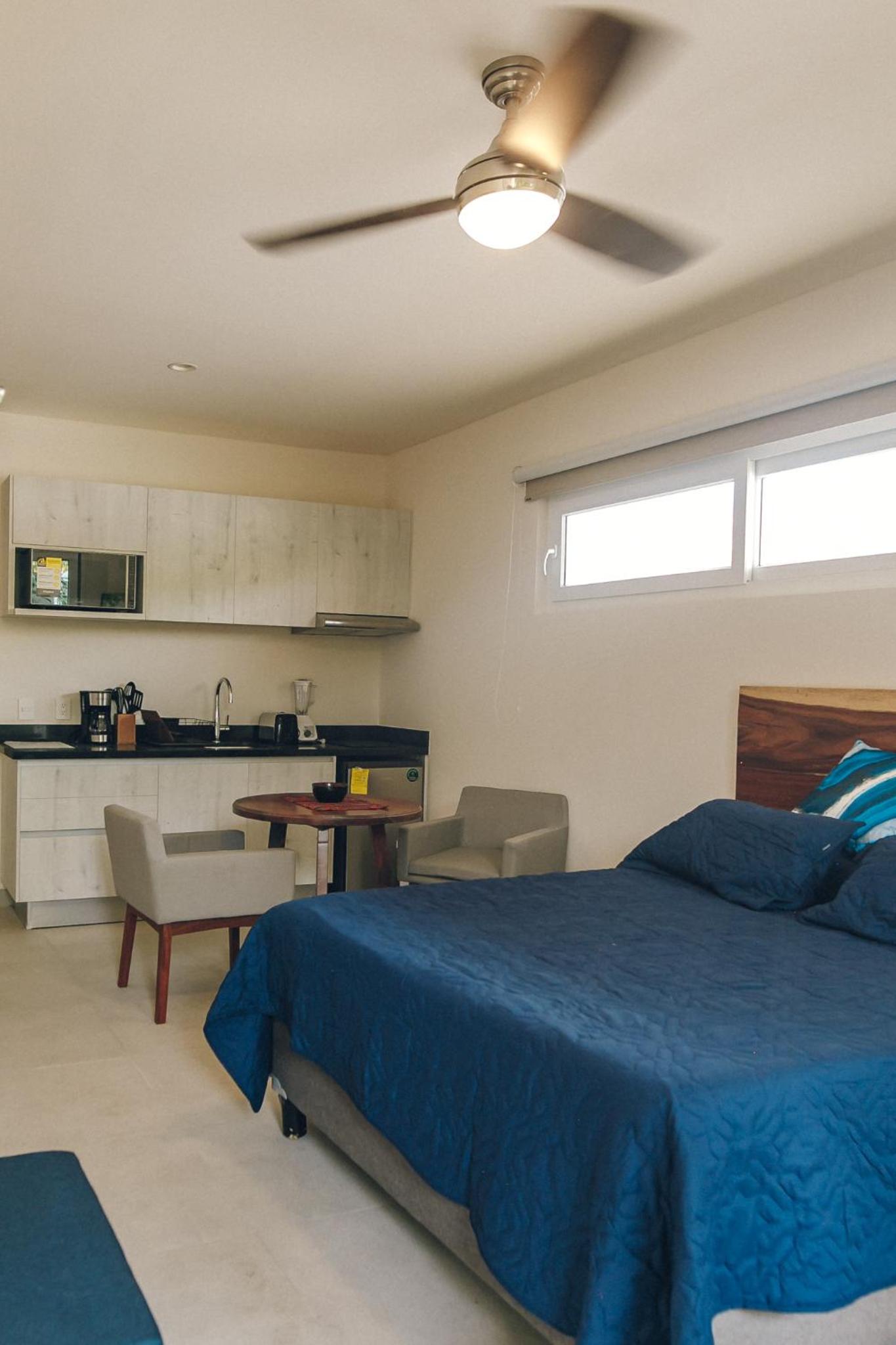 One-Bedroom Apartment photo 2