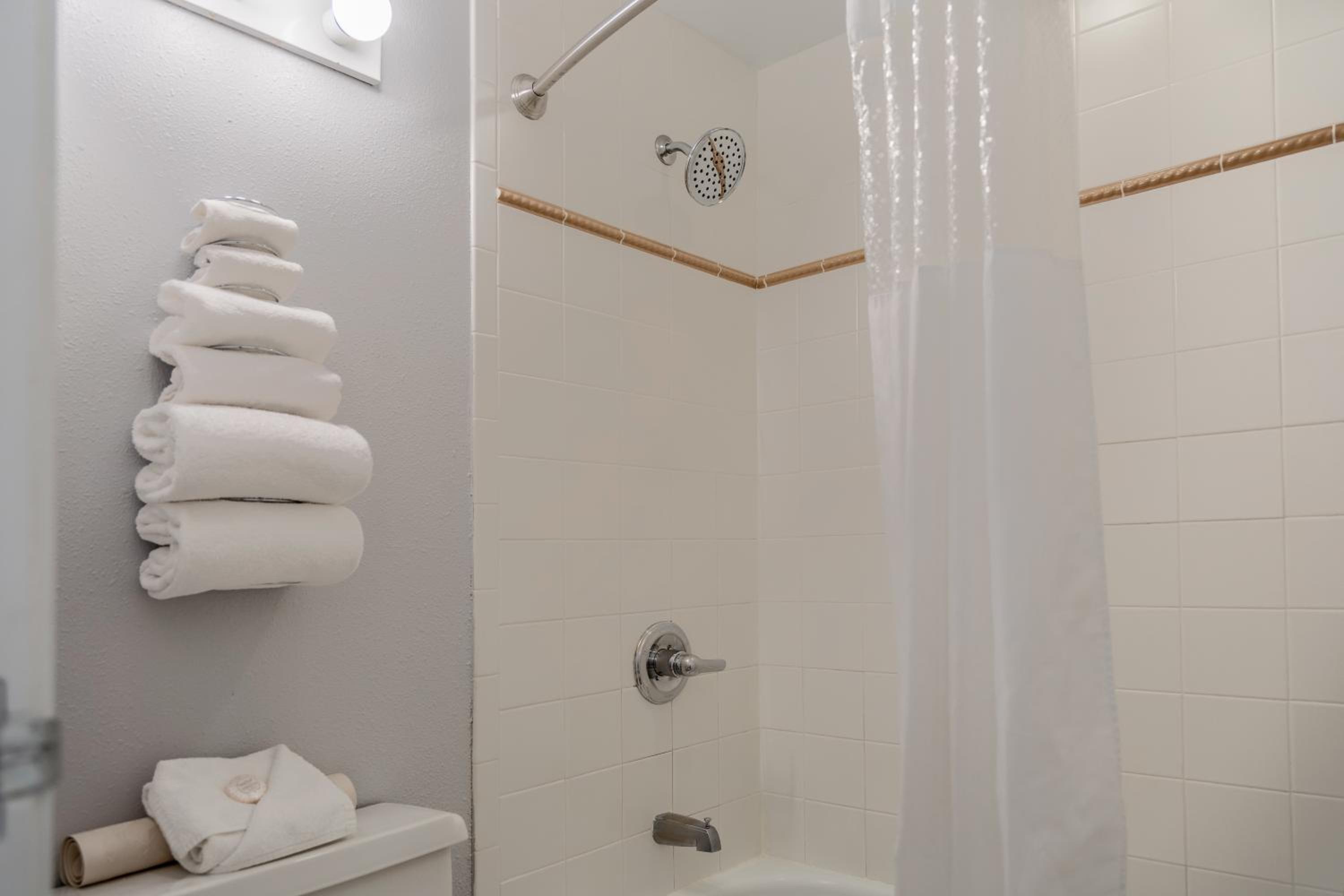 One Bedroom Suite - Photo 3