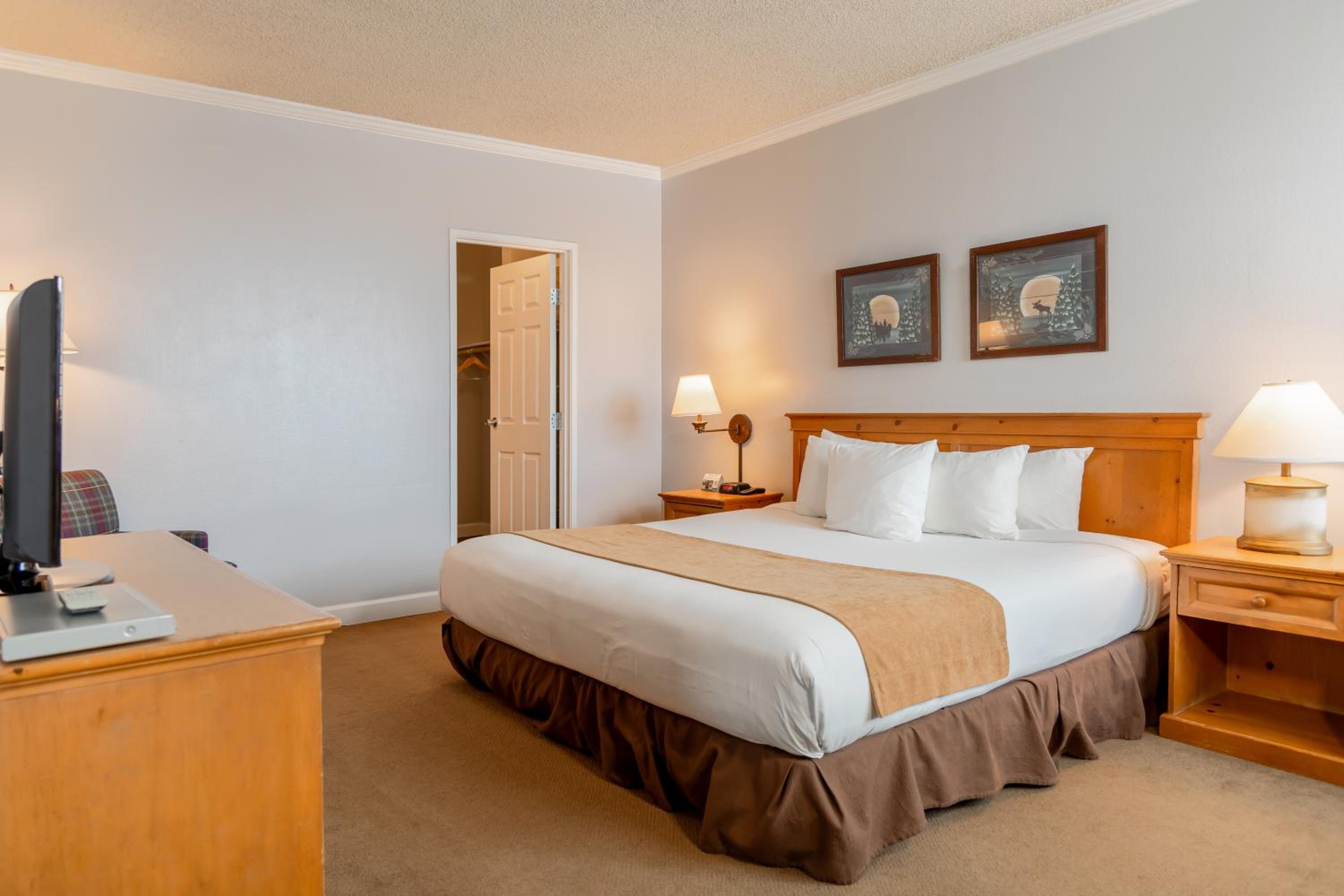 One Bedroom Suite - Photo 6