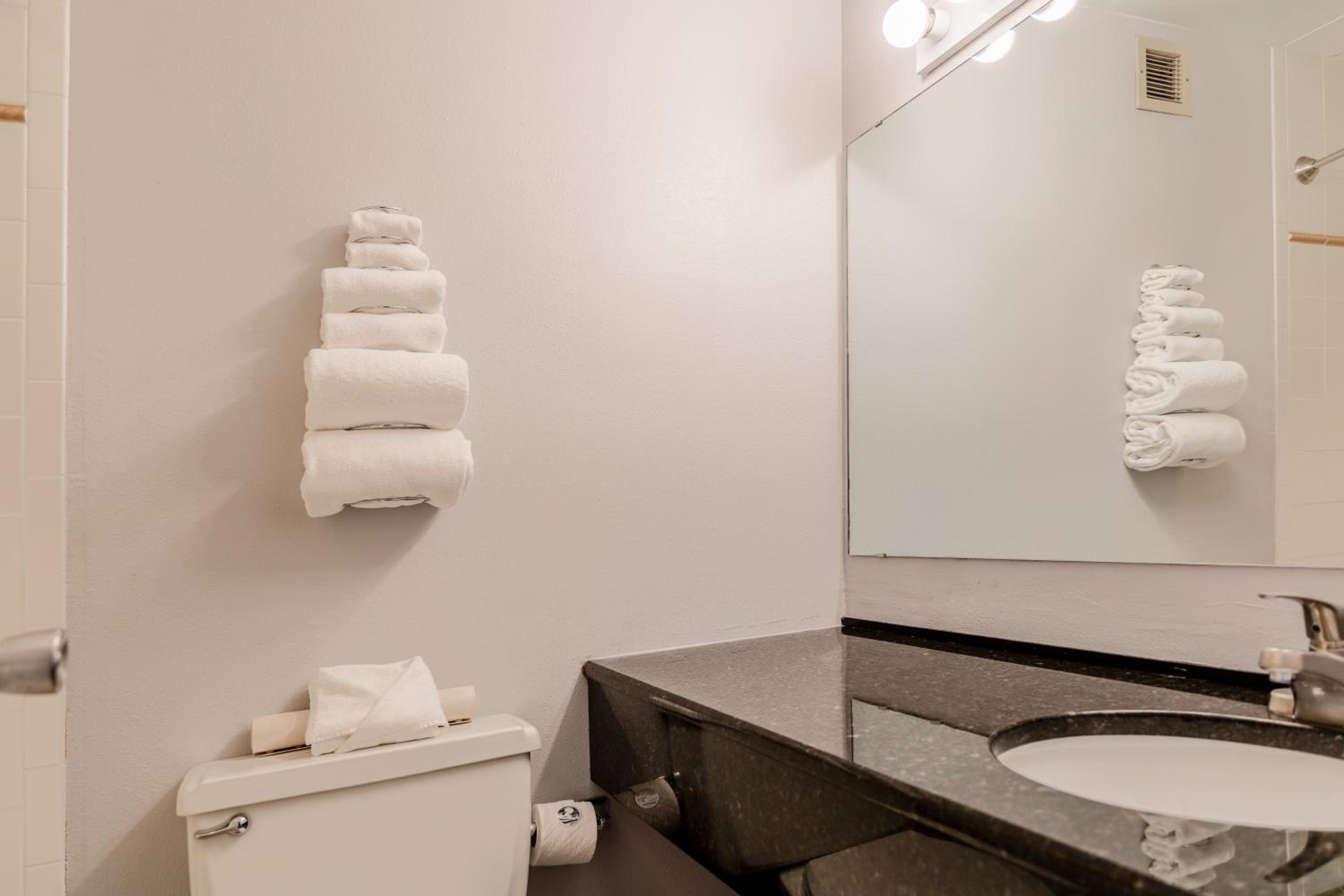 One Bedroom Suite - Photo 22