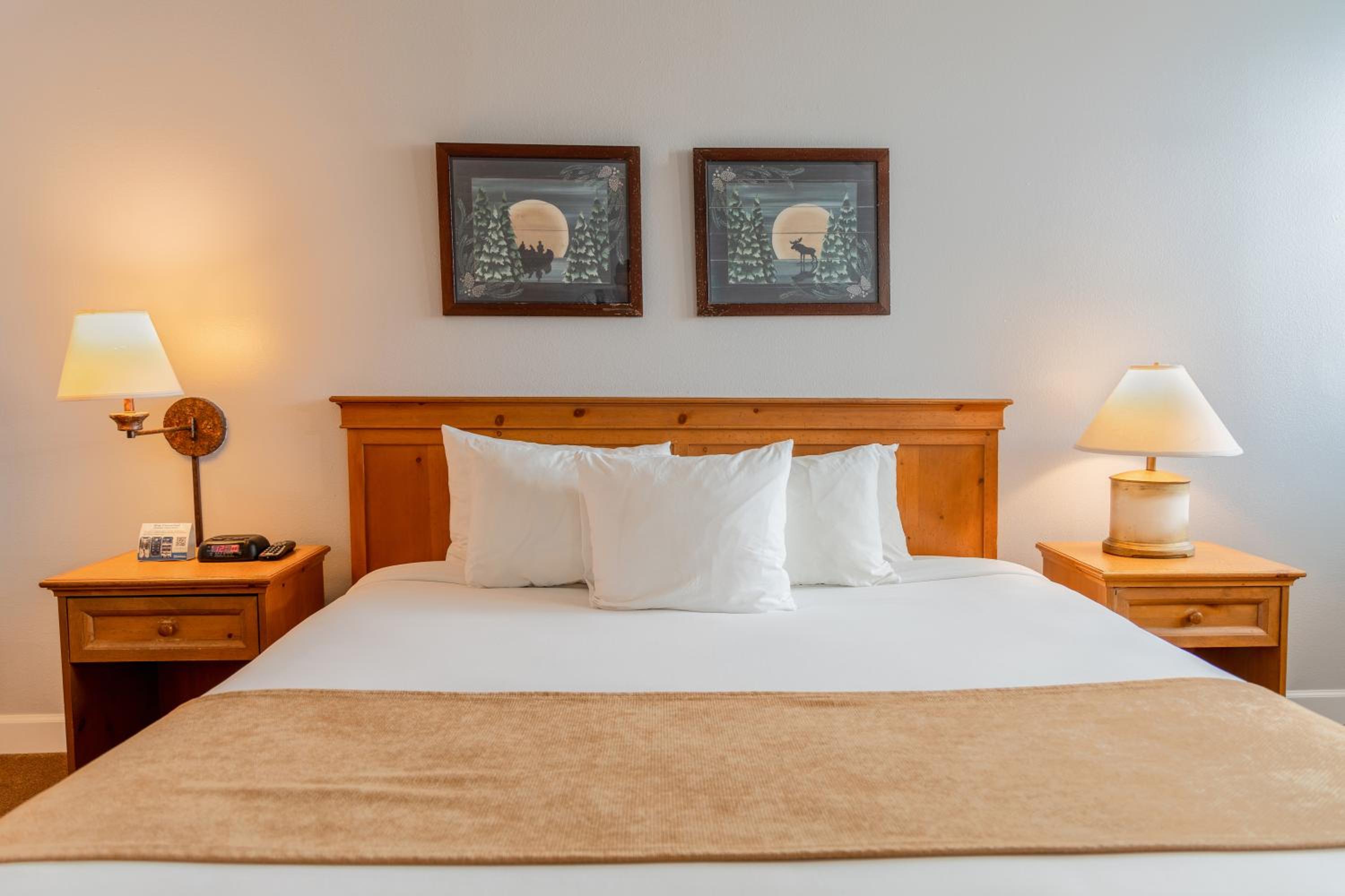 One Bedroom Suite - Photo 24