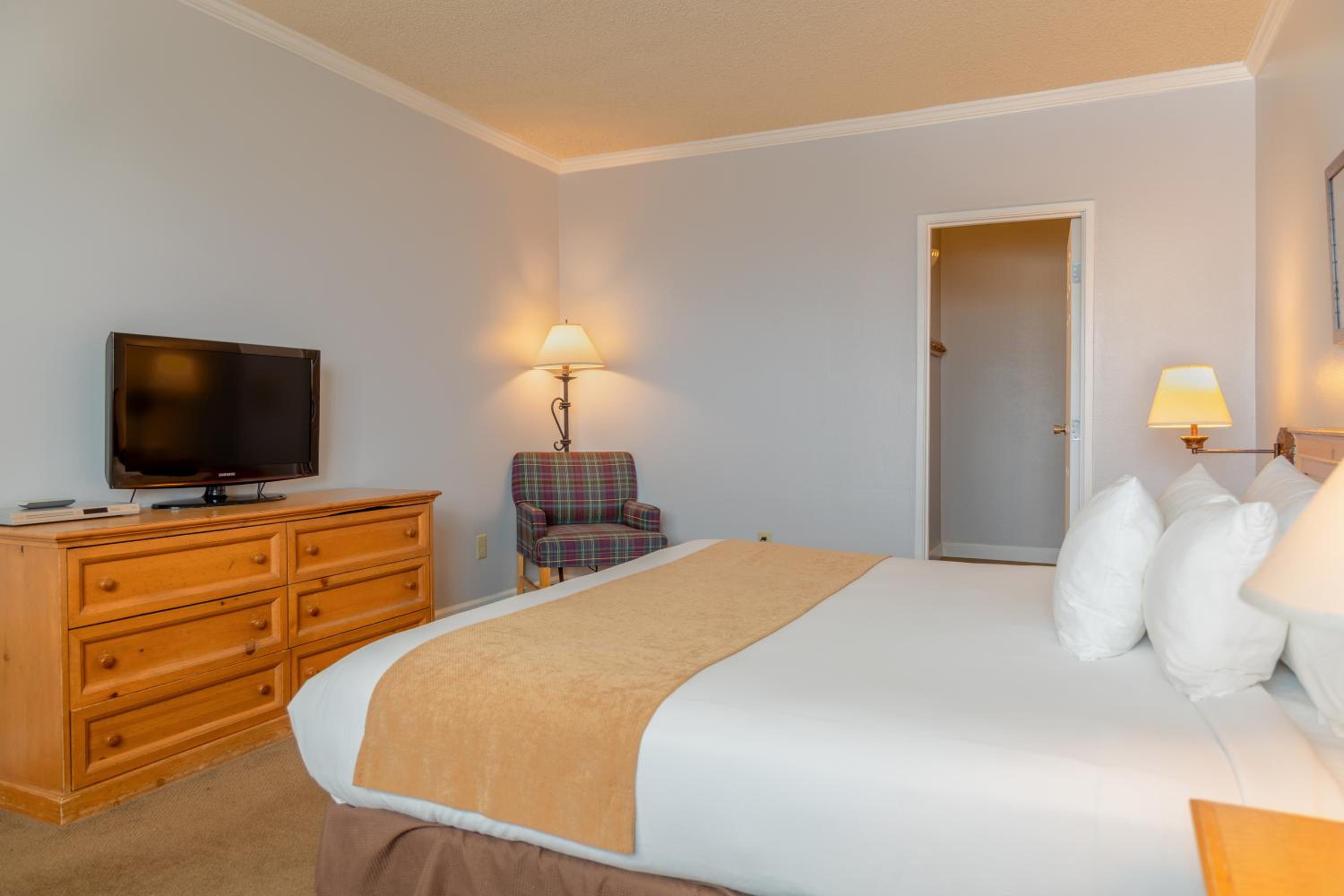 One Bedroom Suite - Photo 11